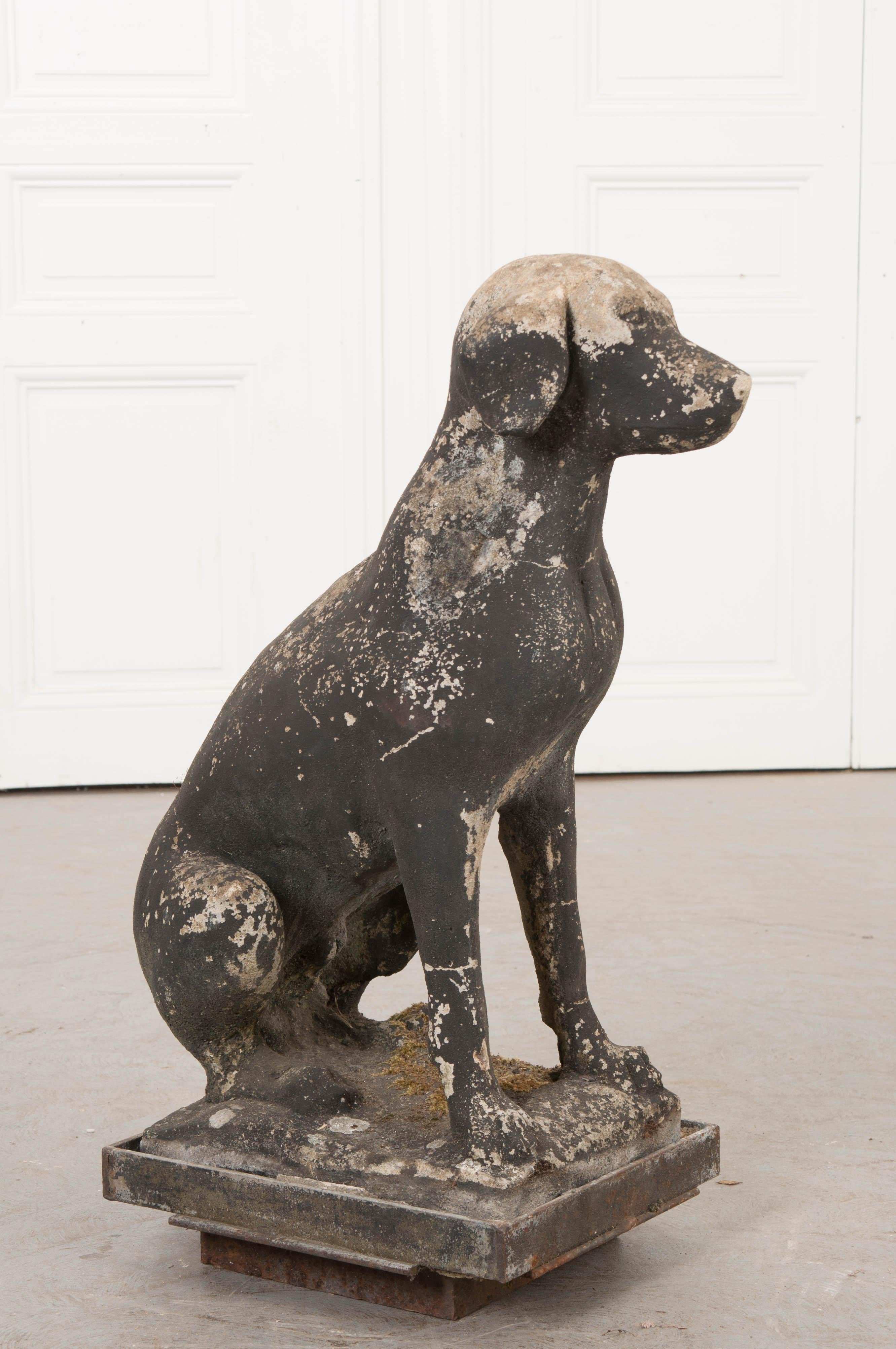 English 19th Century Carved Stone Figure of a Retriever 4