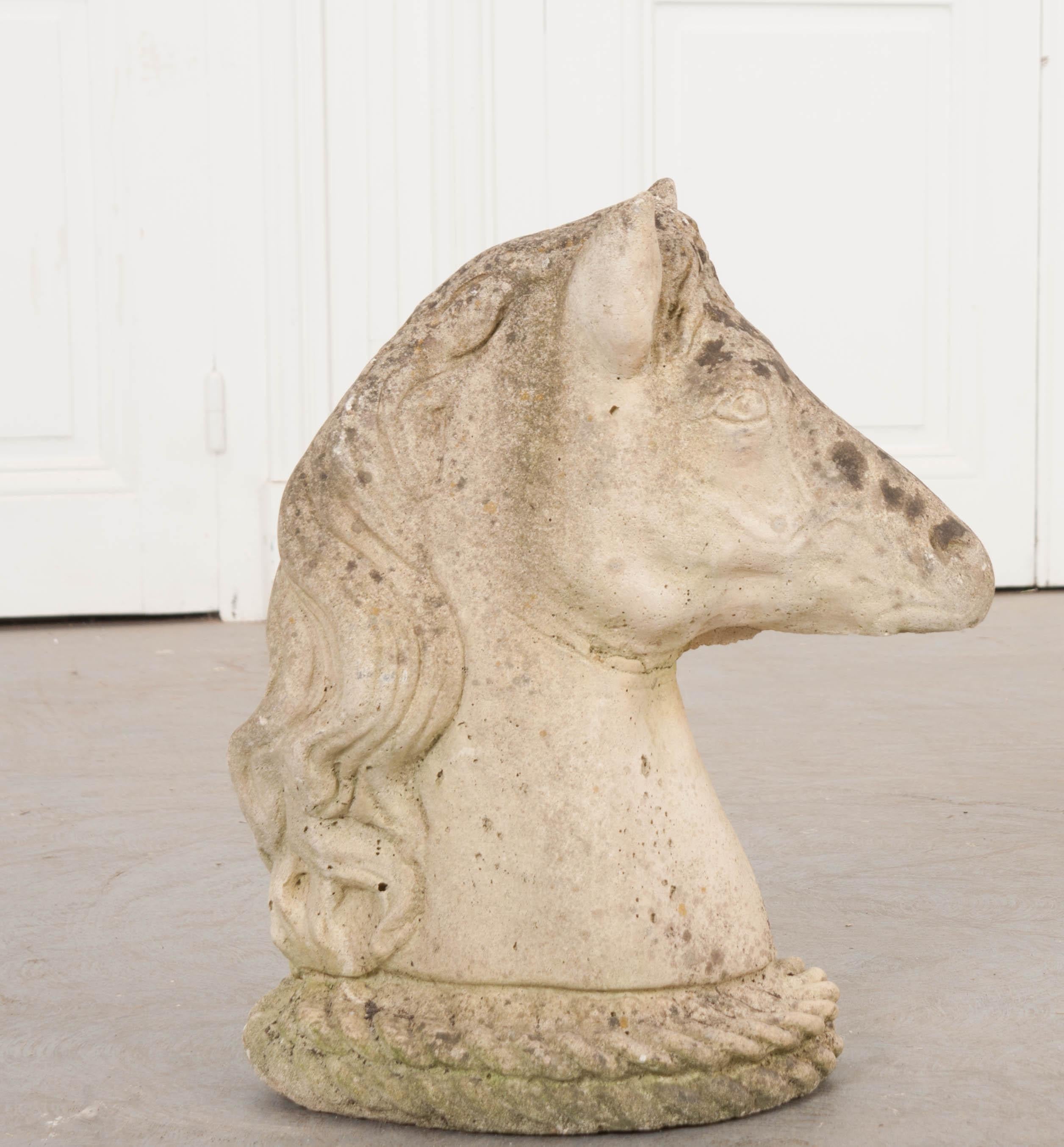 English 19th Century Stone Horse Head 1