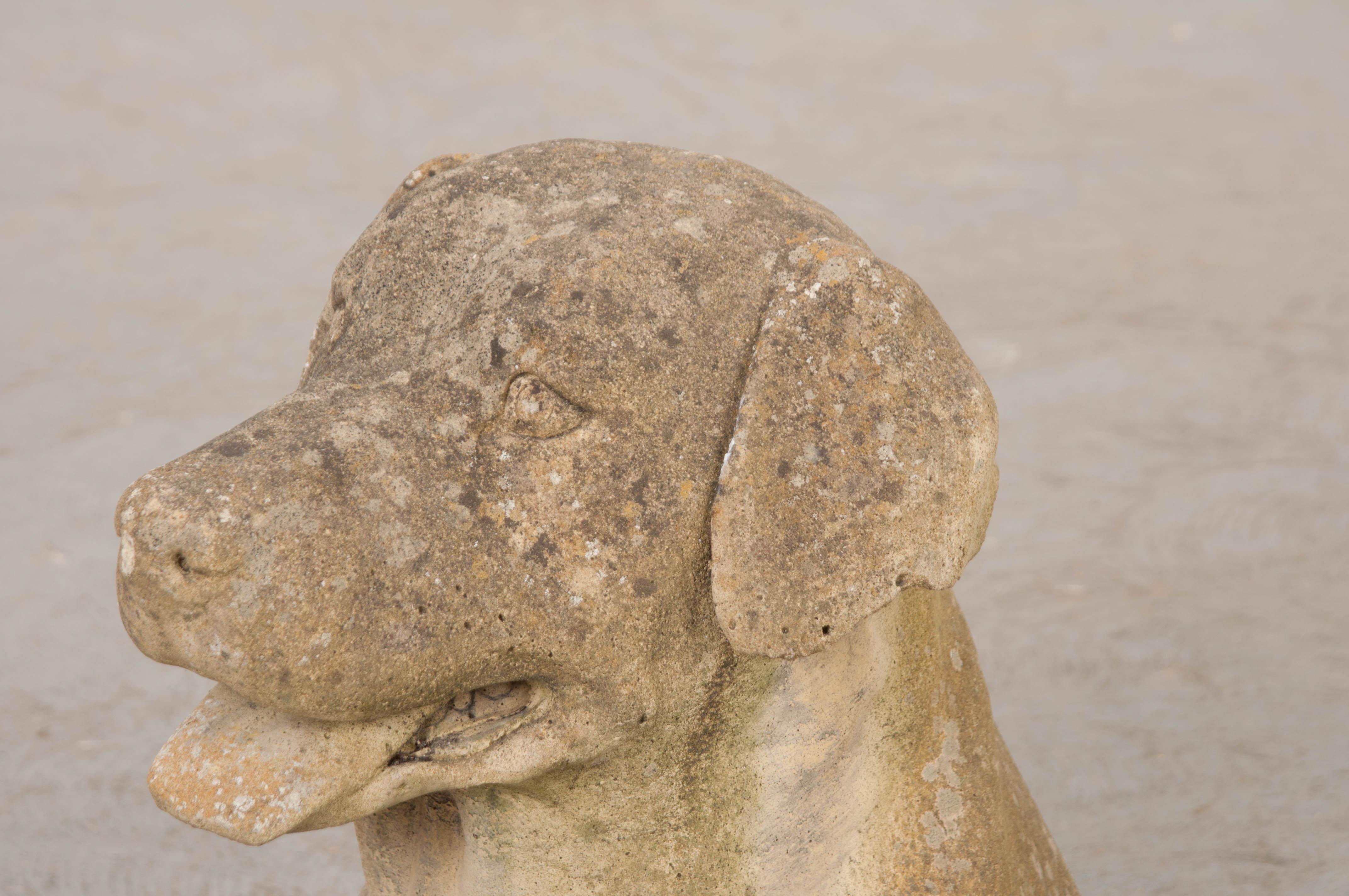 English 19th Century Carved Stone Retriever’s Head 1