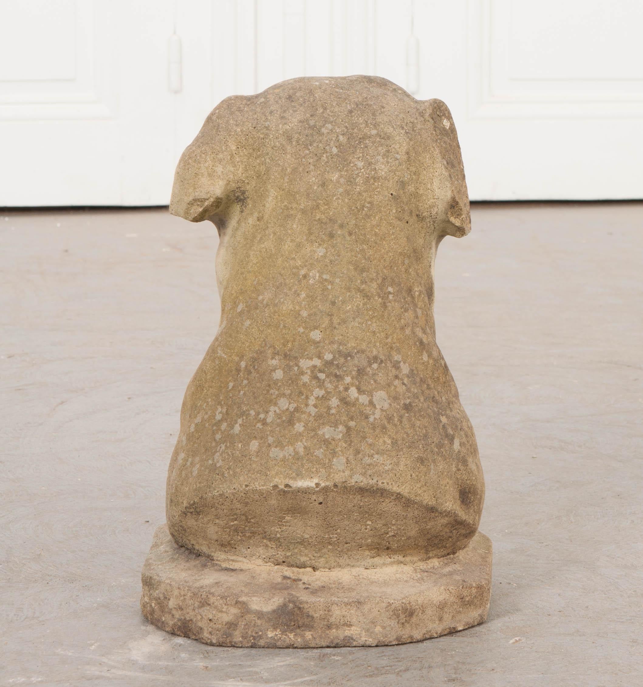 English 19th Century Carved Stone Retriever’s Head 4