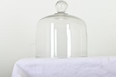 English 19th Century Cheese Dome