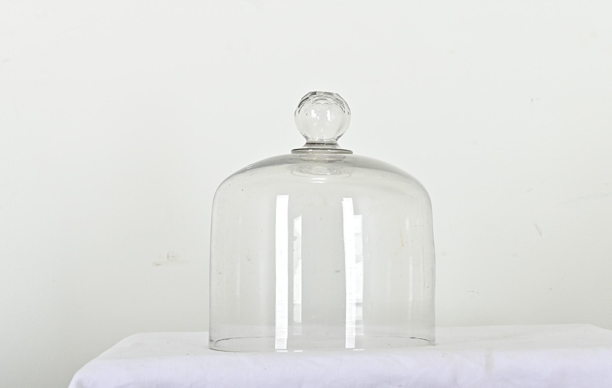 Other English 19th Century Cheese Dome For Sale