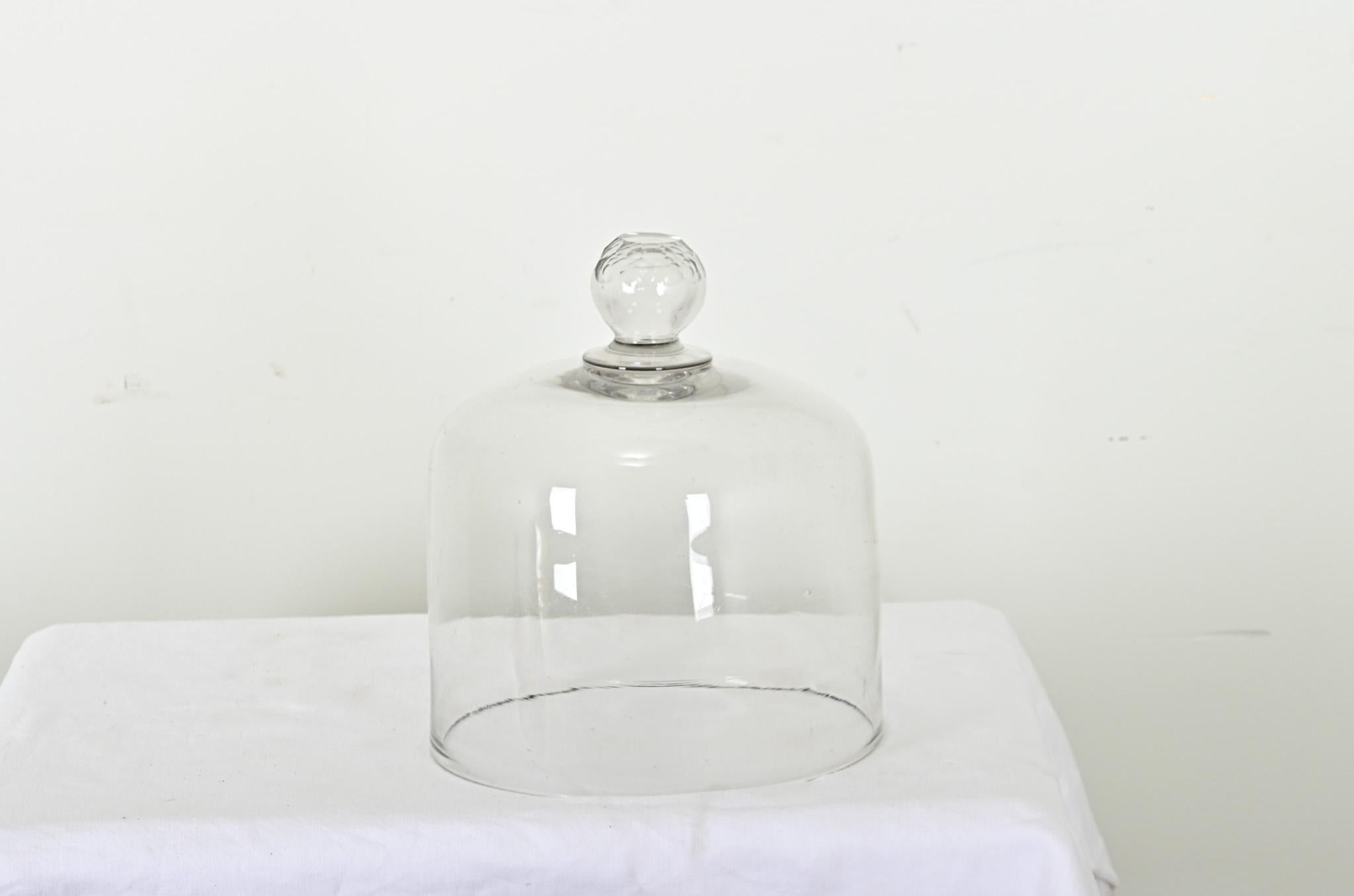 English 19th Century Cheese Dome In Good Condition For Sale In Baton Rouge, LA