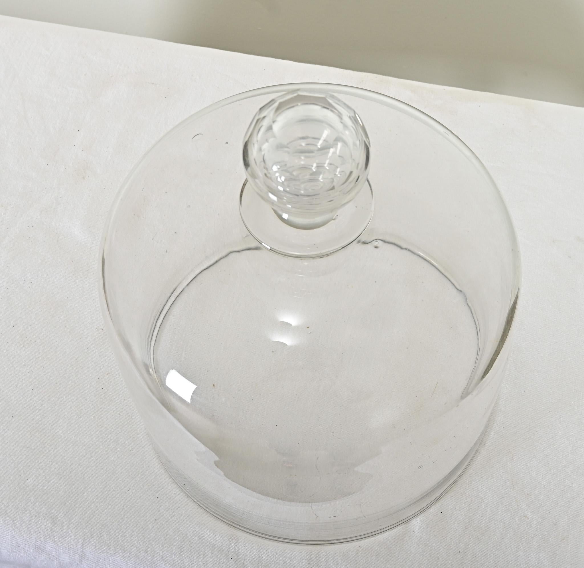 Glass English 19th Century Cheese Dome For Sale