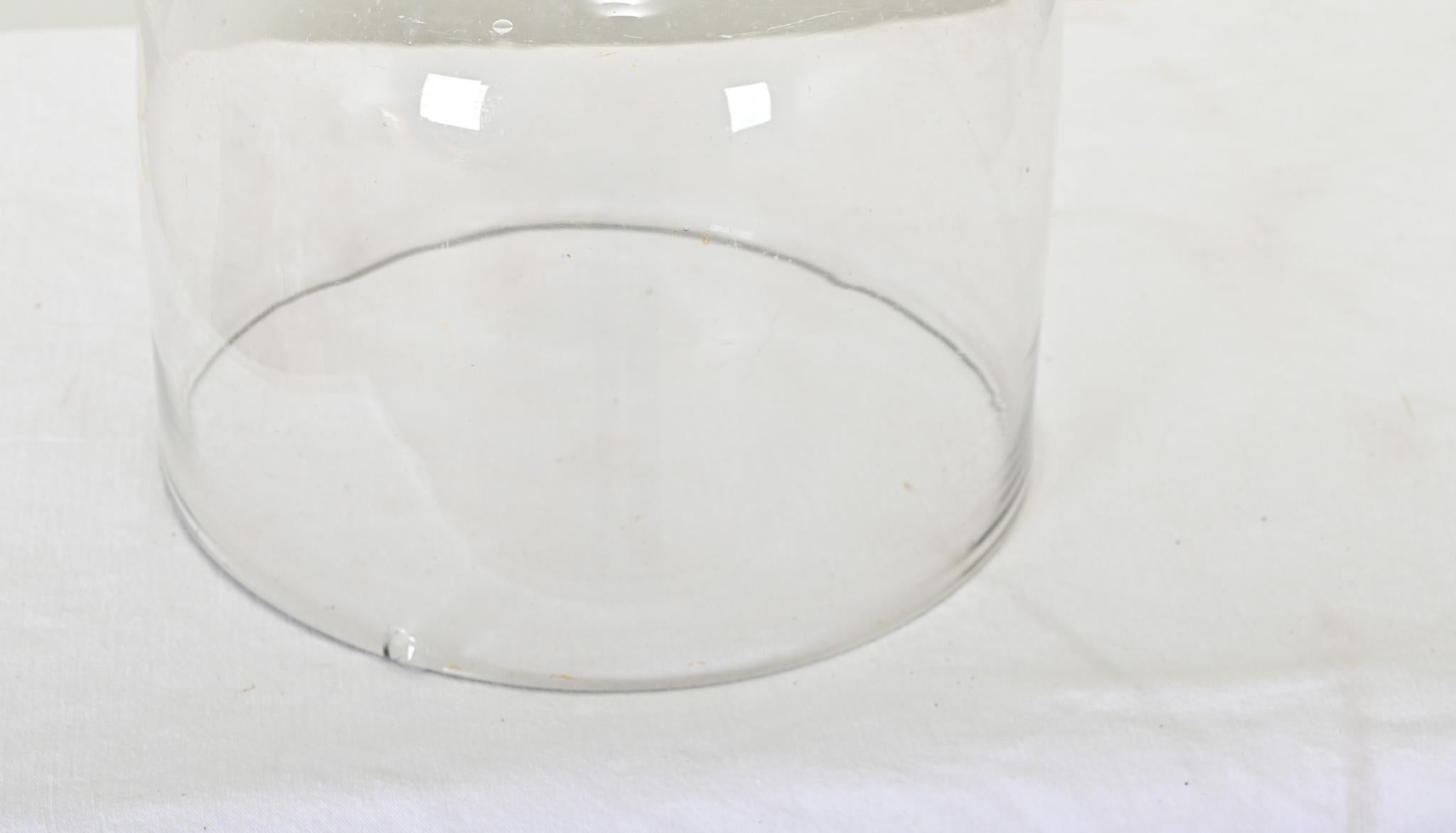 English 19th Century Cheese Dome For Sale 1