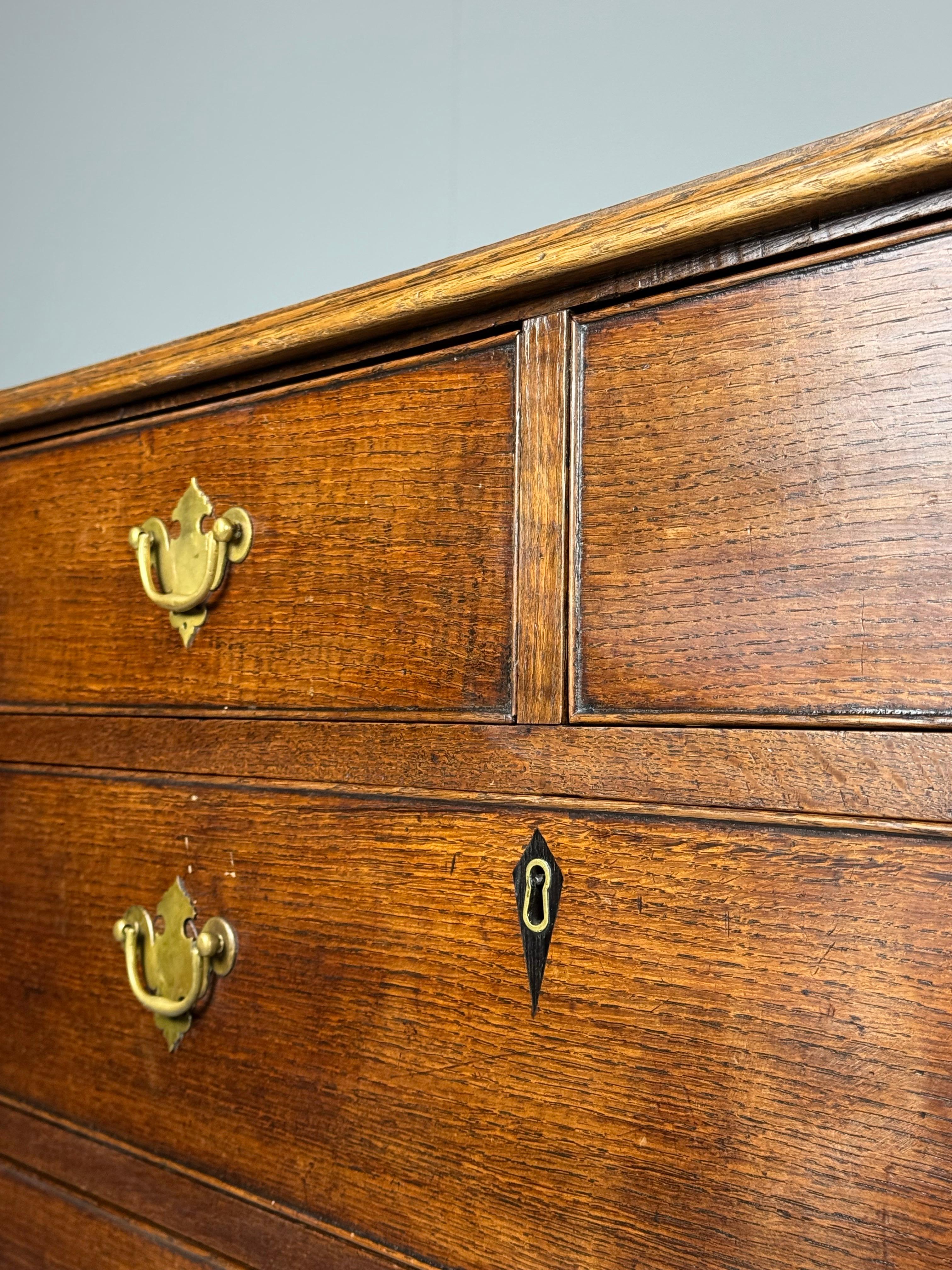 English 19th Century Chest of Drawers For Sale 8