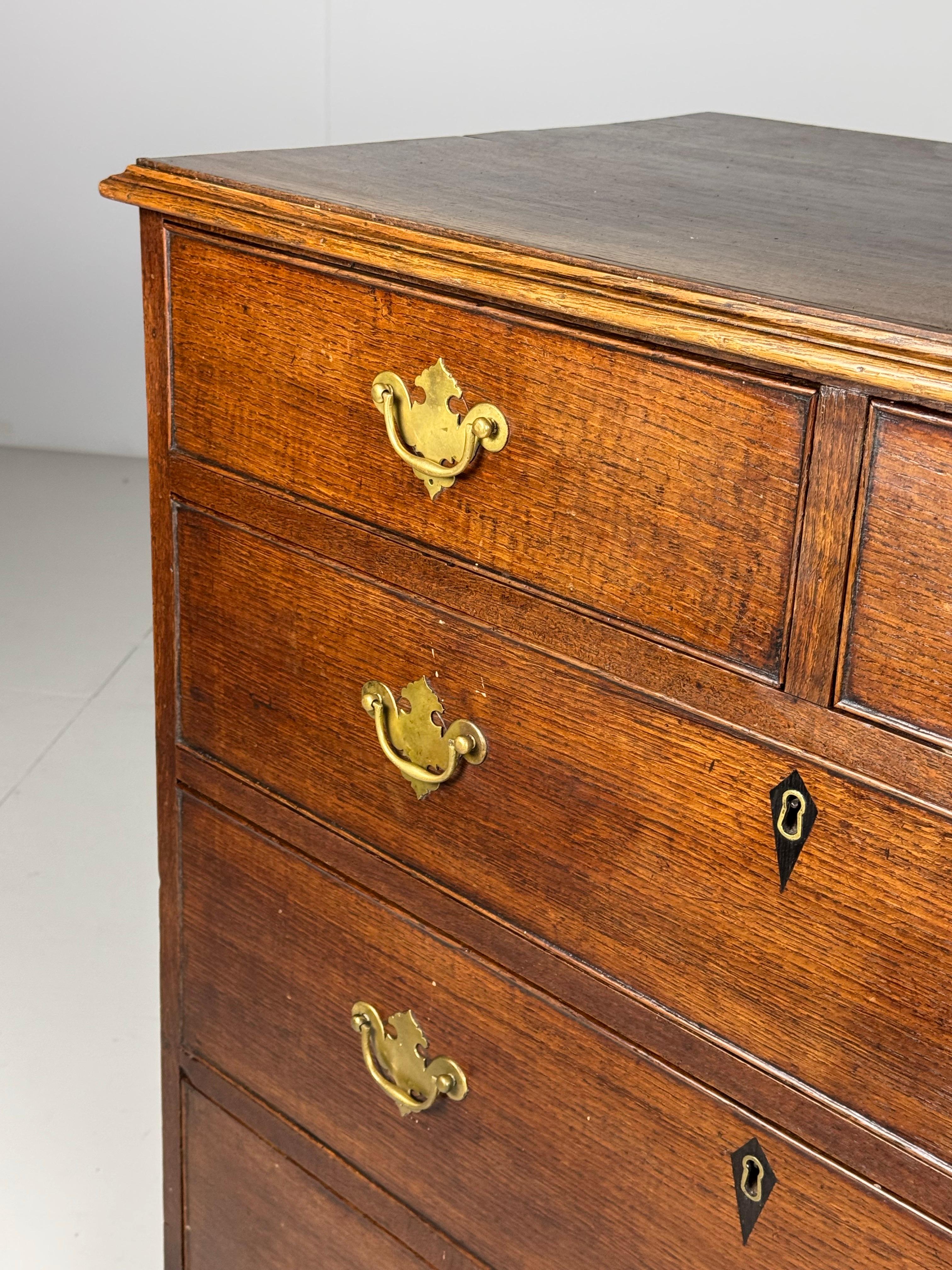 English 19th Century Chest of Drawers For Sale 1