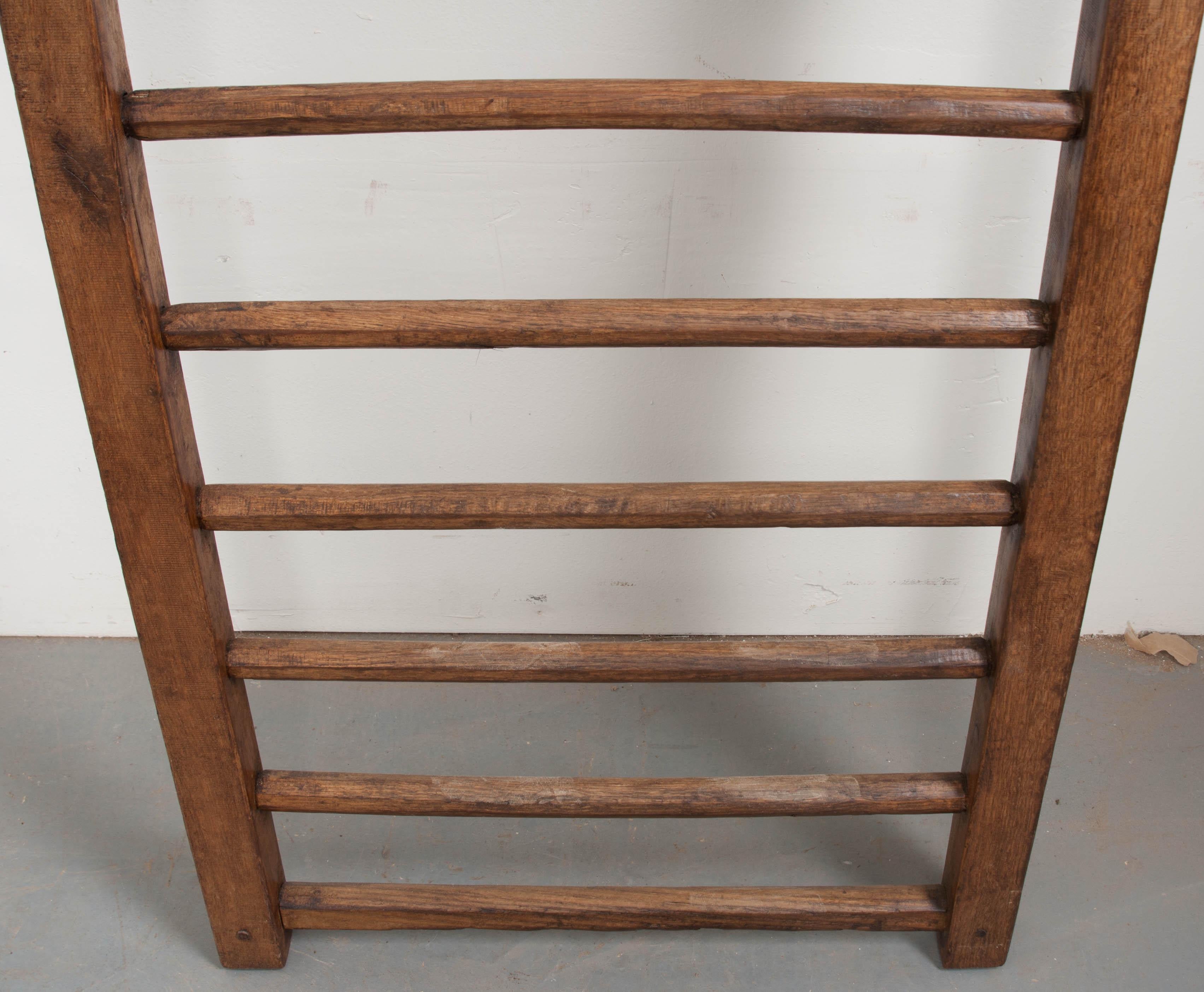 English 19th Century Country Ladder 5
