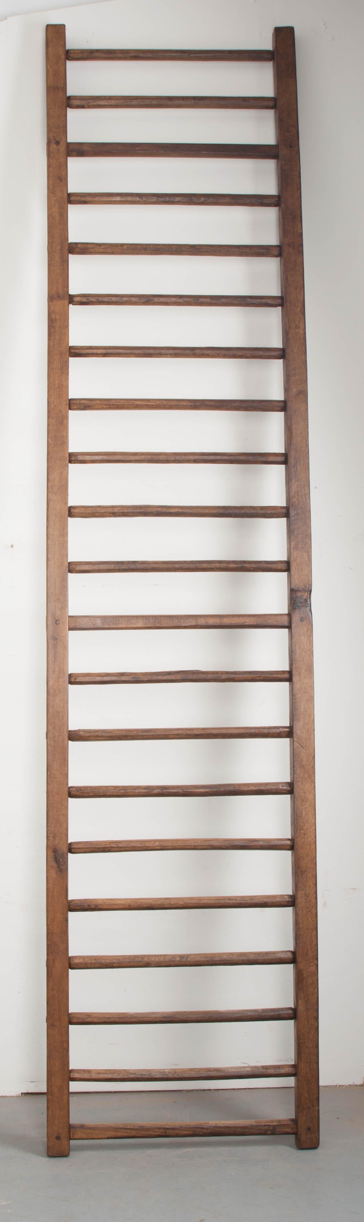 An impressive antique ladder, made entirely of oak, from 19th century England. The long side rails extend skyward, making for a nearly 10 1/2' ladder! Each of the 21 rungs have all been individually hand-carved, with no two looking exactly the same.