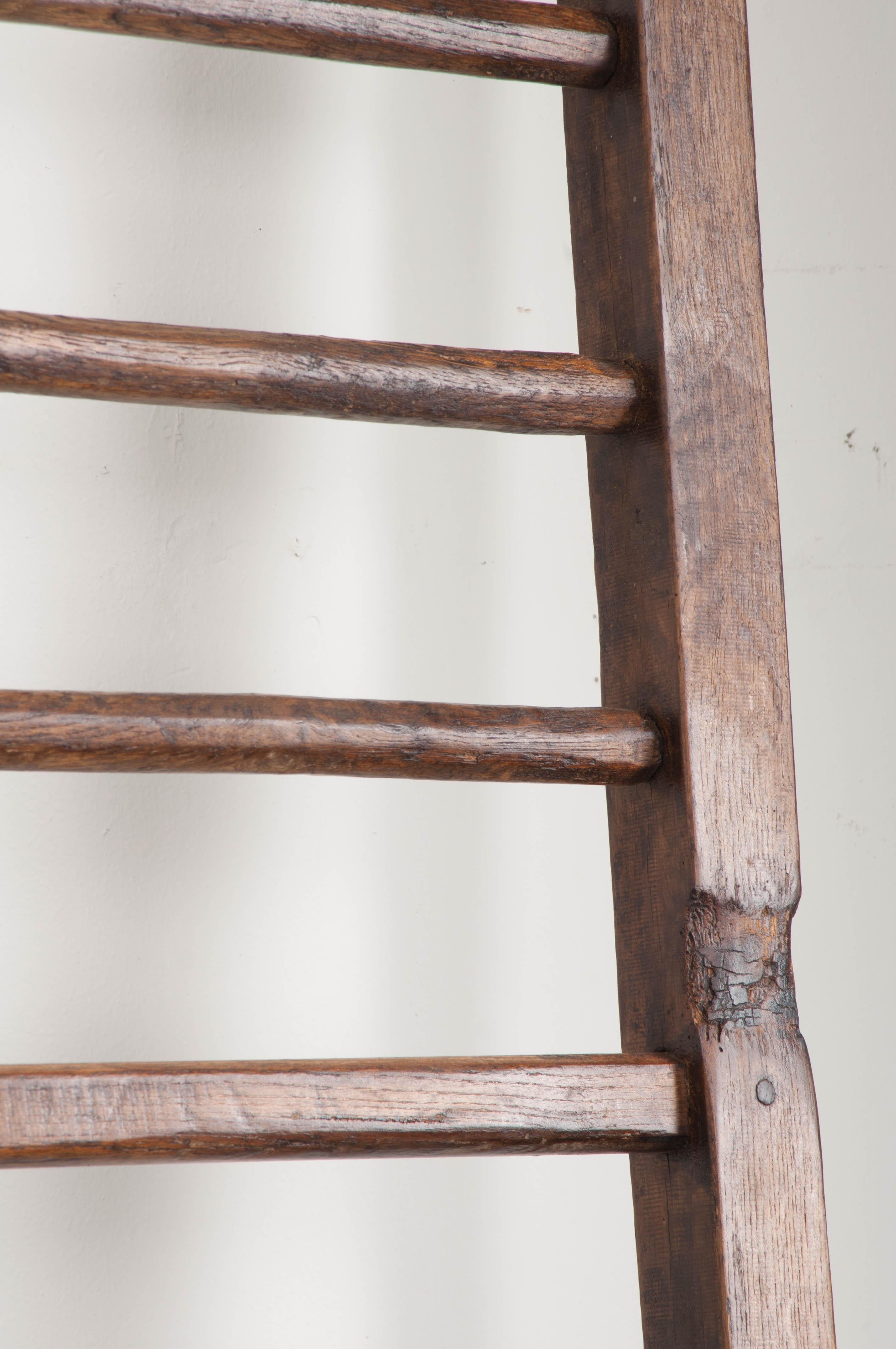 Oak English 19th Century Country Ladder