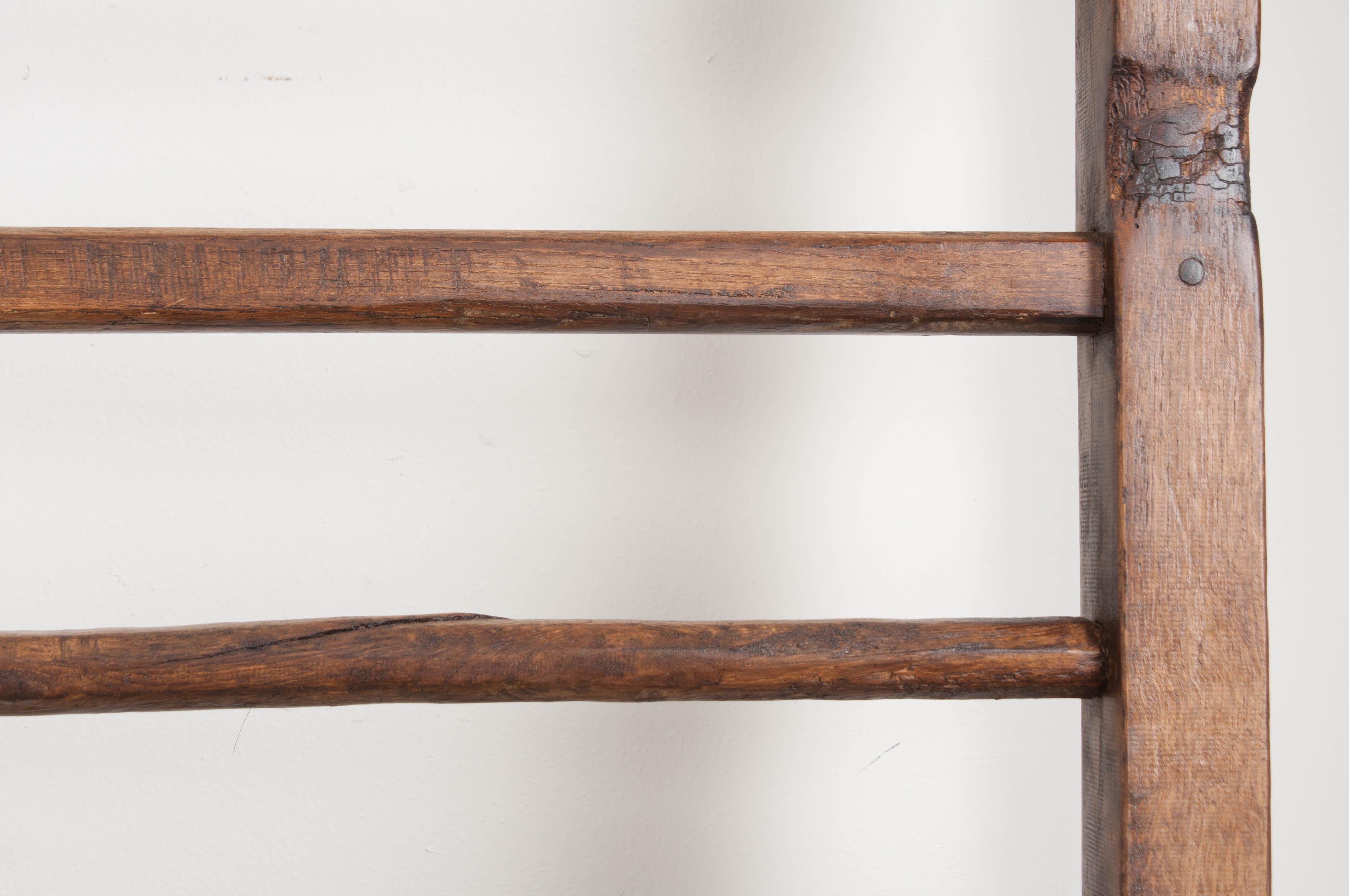 English 19th Century Country Ladder 3