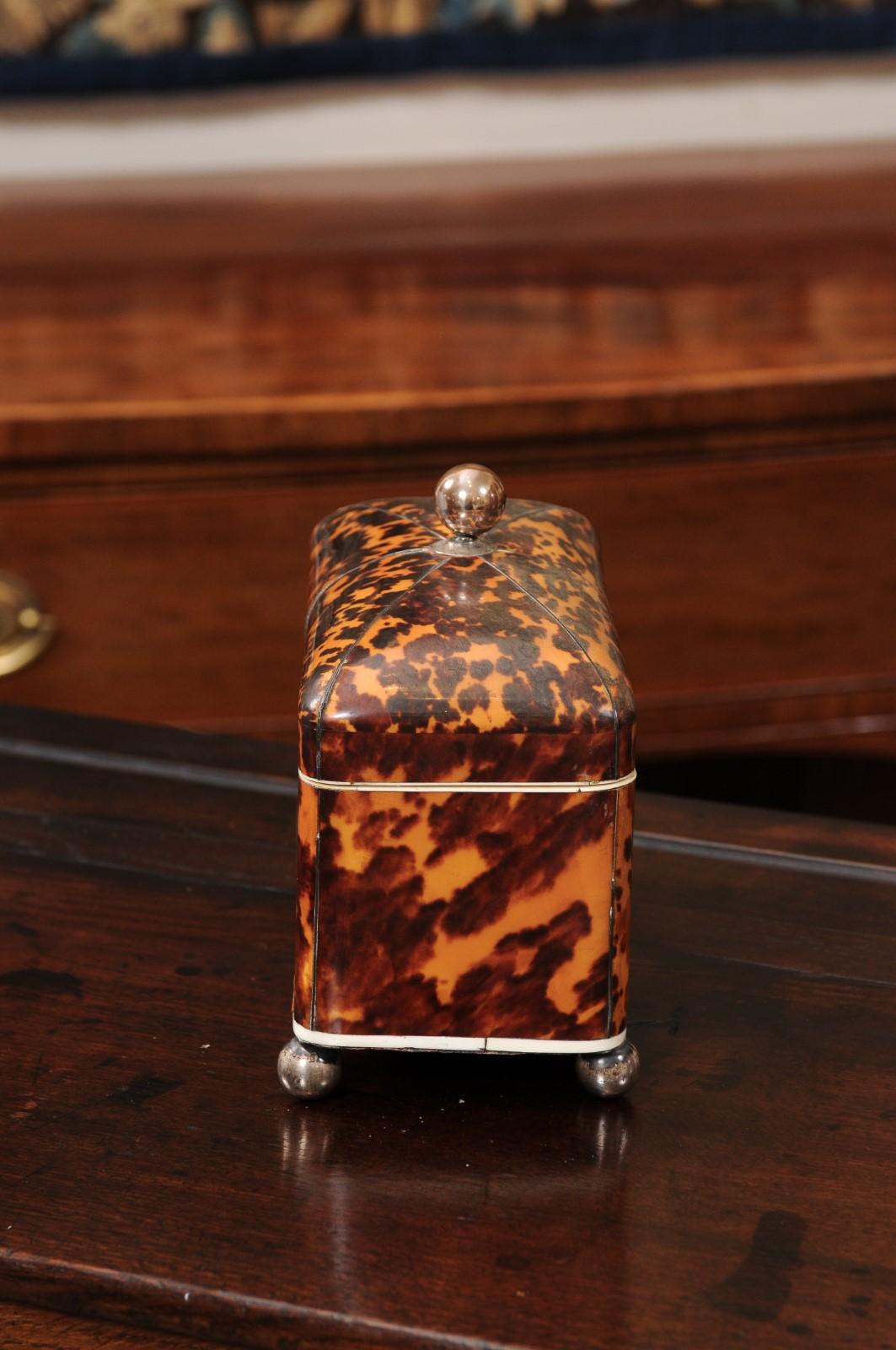 English 19th Century Domed Top Tortoiseshell Tea Caddy in vendita 4