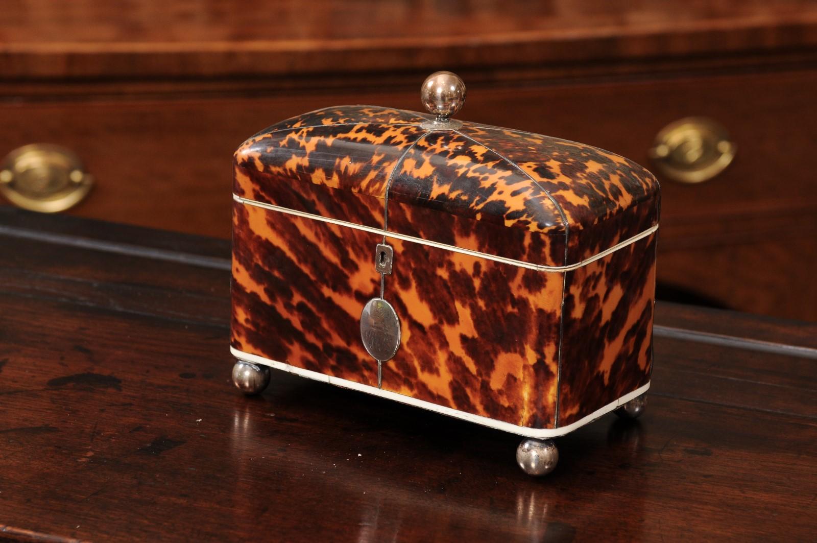 English 19th Century Domed Top Tortoiseshell Tea Caddy in vendita 5