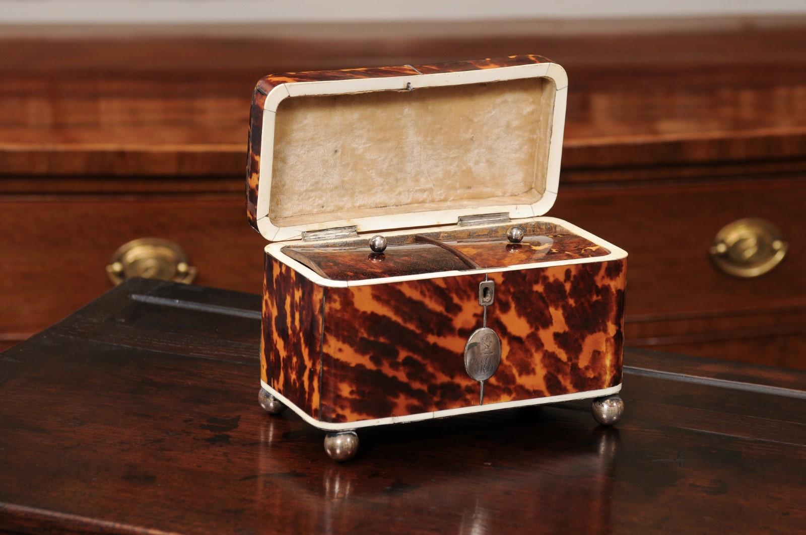 Inglese English 19th Century Domed Top Tortoiseshell Tea Caddy in vendita