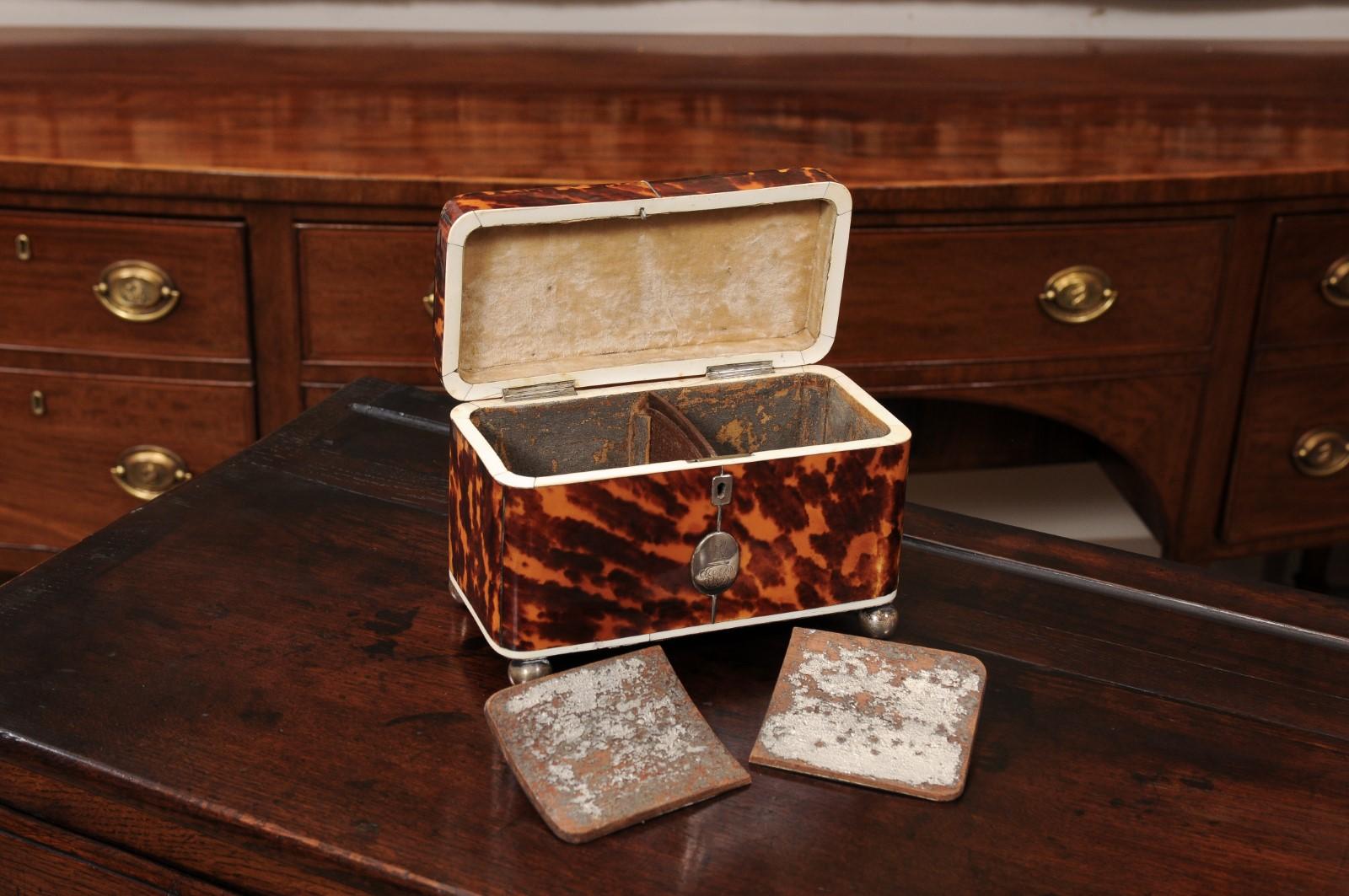 XIX secolo English 19th Century Domed Top Tortoiseshell Tea Caddy in vendita