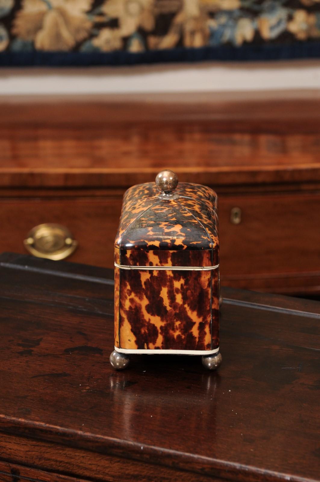 Tartaruga English 19th Century Domed Top Tortoiseshell Tea Caddy in vendita