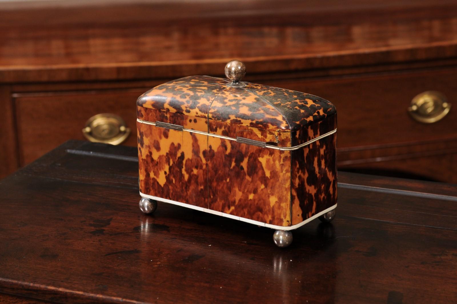 English 19th Century Domed Top Tortoiseshell Tea Caddy in vendita 1