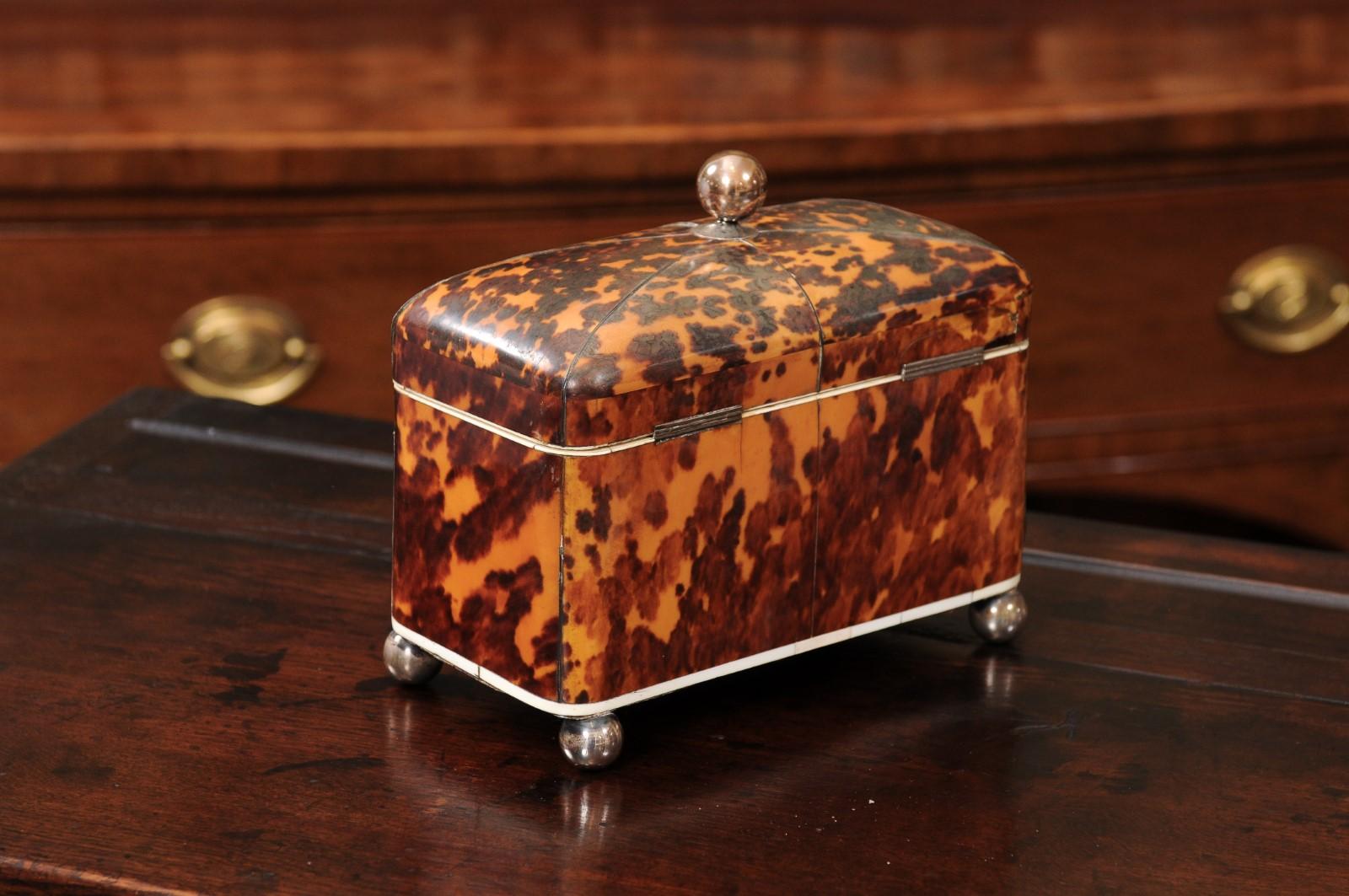 English 19th Century Domed Top Tortoiseshell Tea Caddy in vendita 3