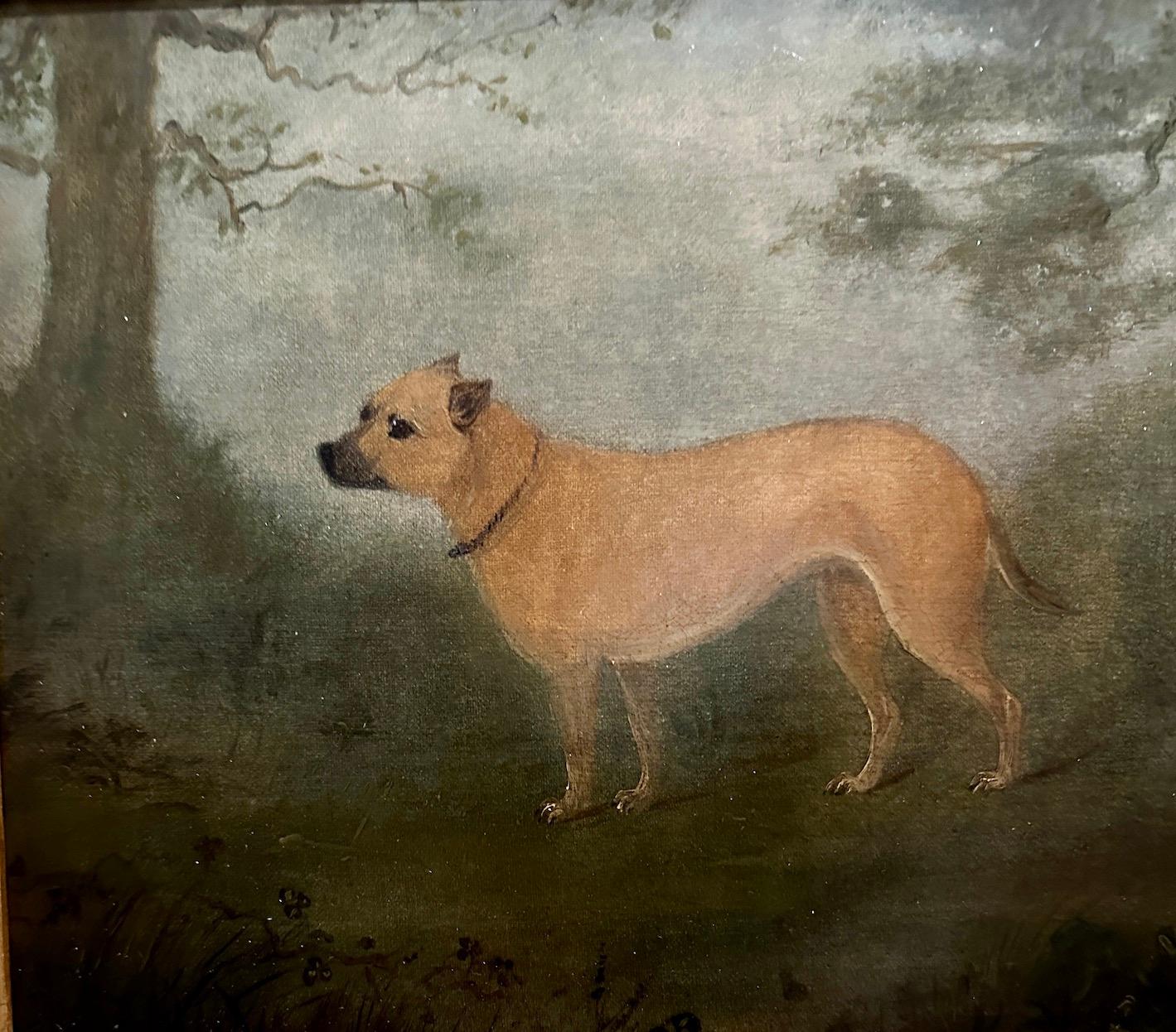 Acquiring an early 19th-century English painting of a hound or terrier in a landscape circa 1850 is an opportunity to own a captivating piece of art that not only celebrates the artistic prowess of the era but also captures the timeless charm of