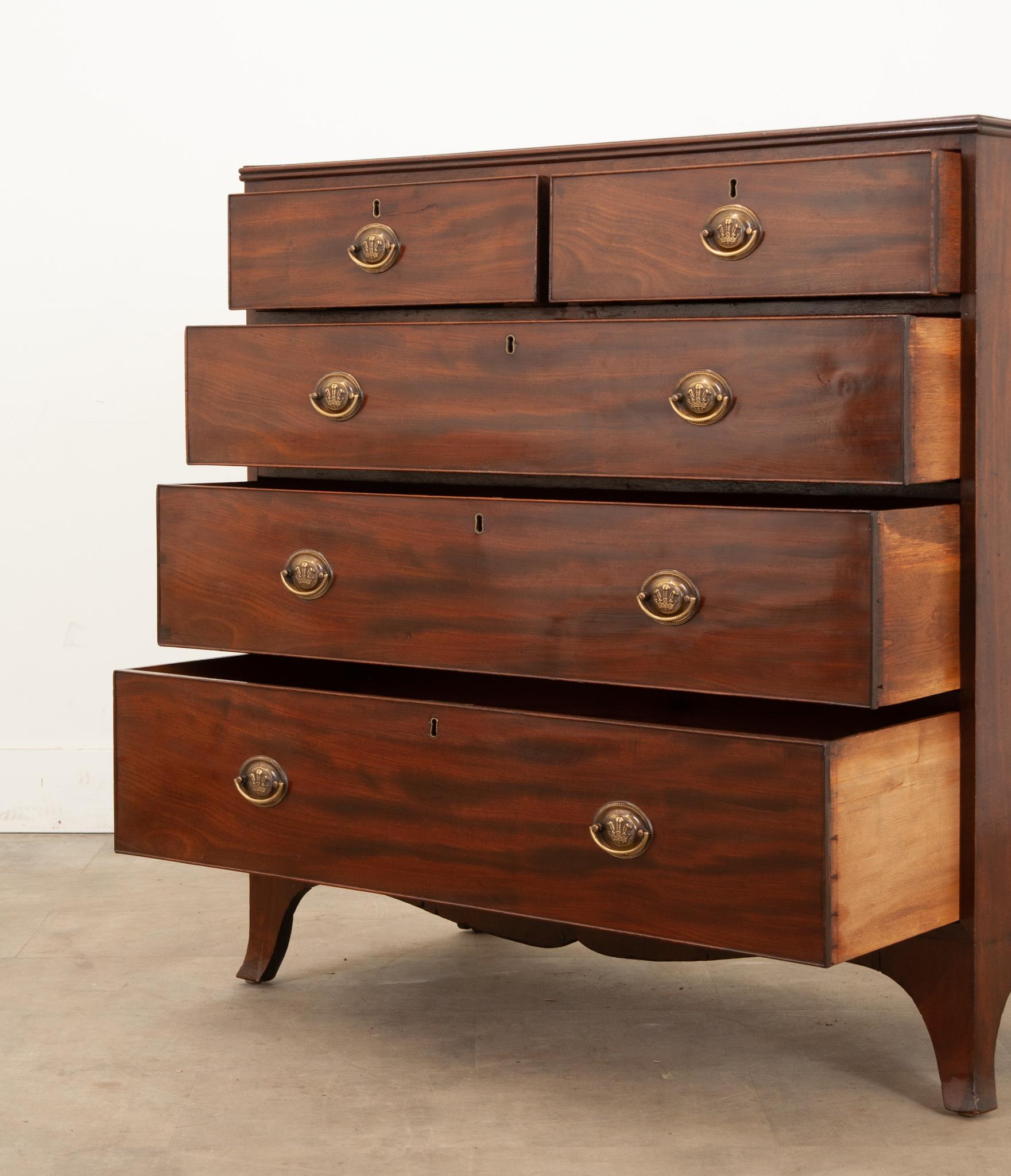English 19th Century Georgian Mahogany Chest of Drawers For Sale 5