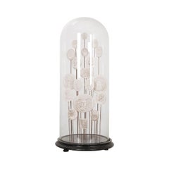 English 19th Century Glass Cloche with New Intaglios