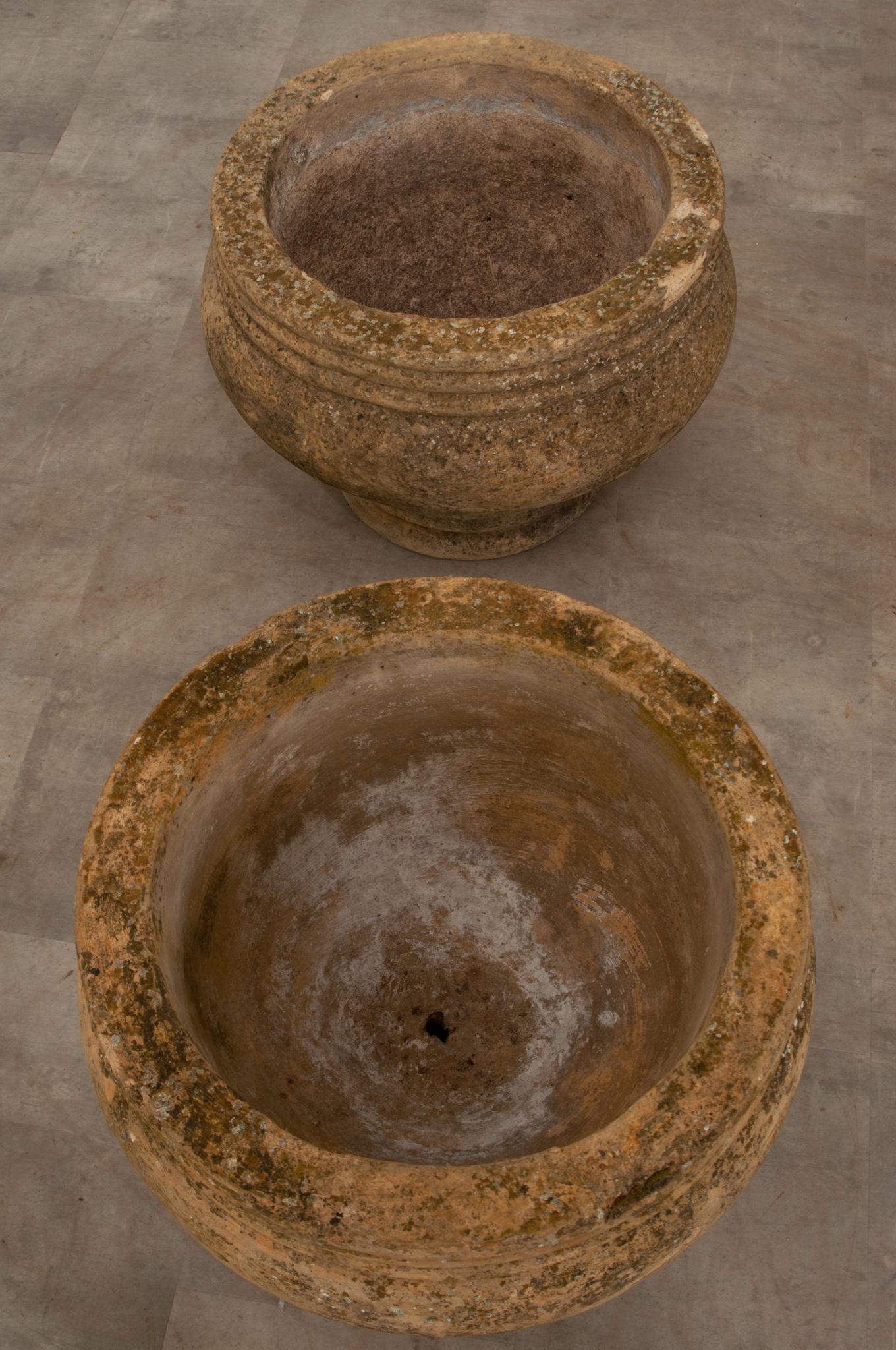 Fired English 19th Century Heavy Terracotta Planters For Sale