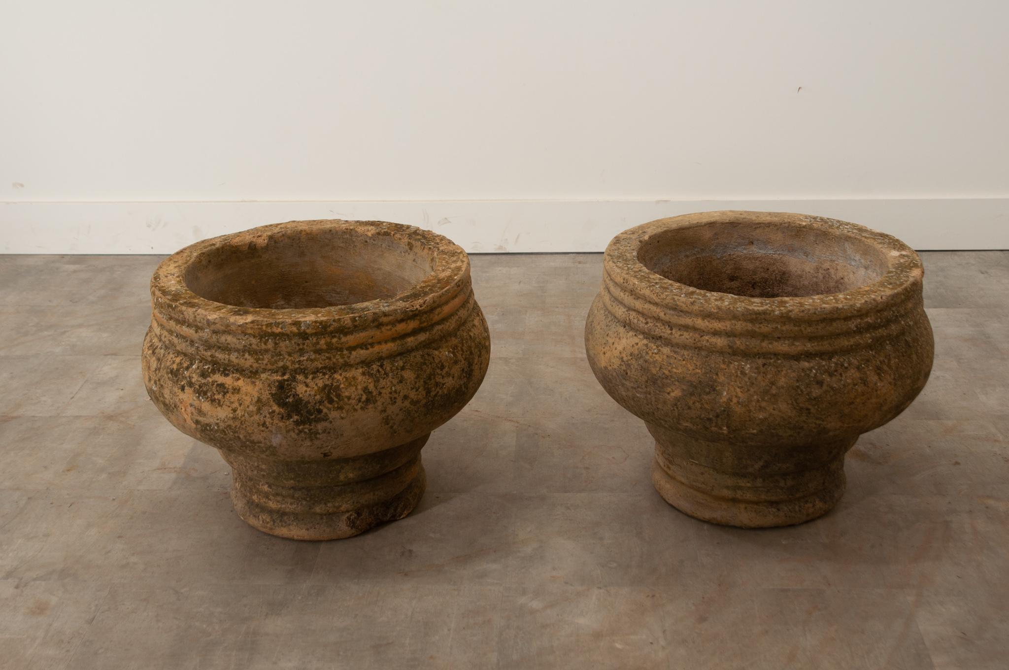 English 19th Century Heavy Terracotta Planters For Sale 1