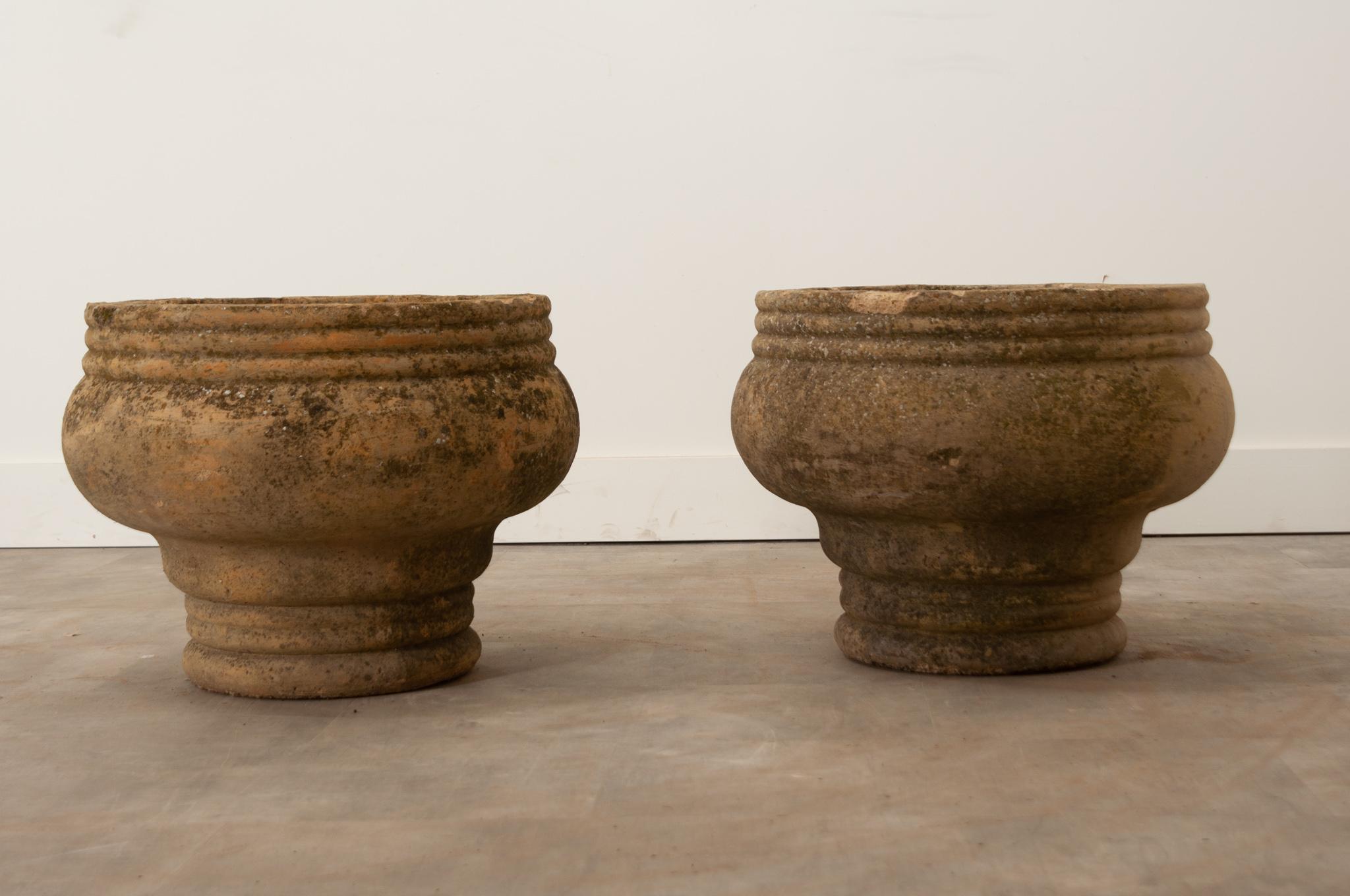 English 19th Century Heavy Terracotta Planters For Sale 3