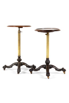 Pair of English 19th Century Mahogany and Brass Library Occasional Tables
