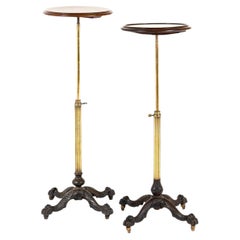 Pair of English 19th Century Mahogany and Brass Library Occasional Tables