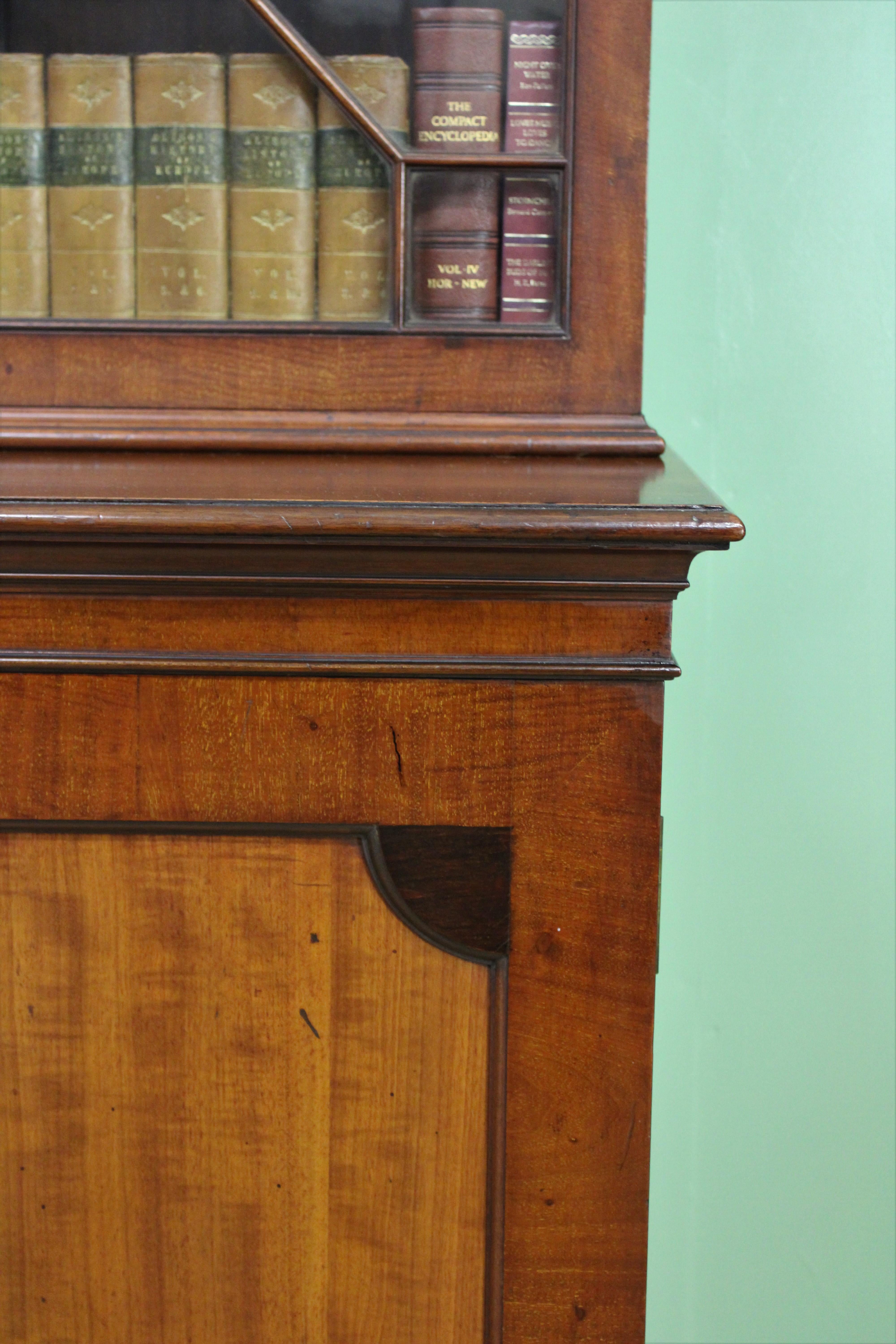 English 19th Century Mahogany Glazed Bookcase For Sale 4
