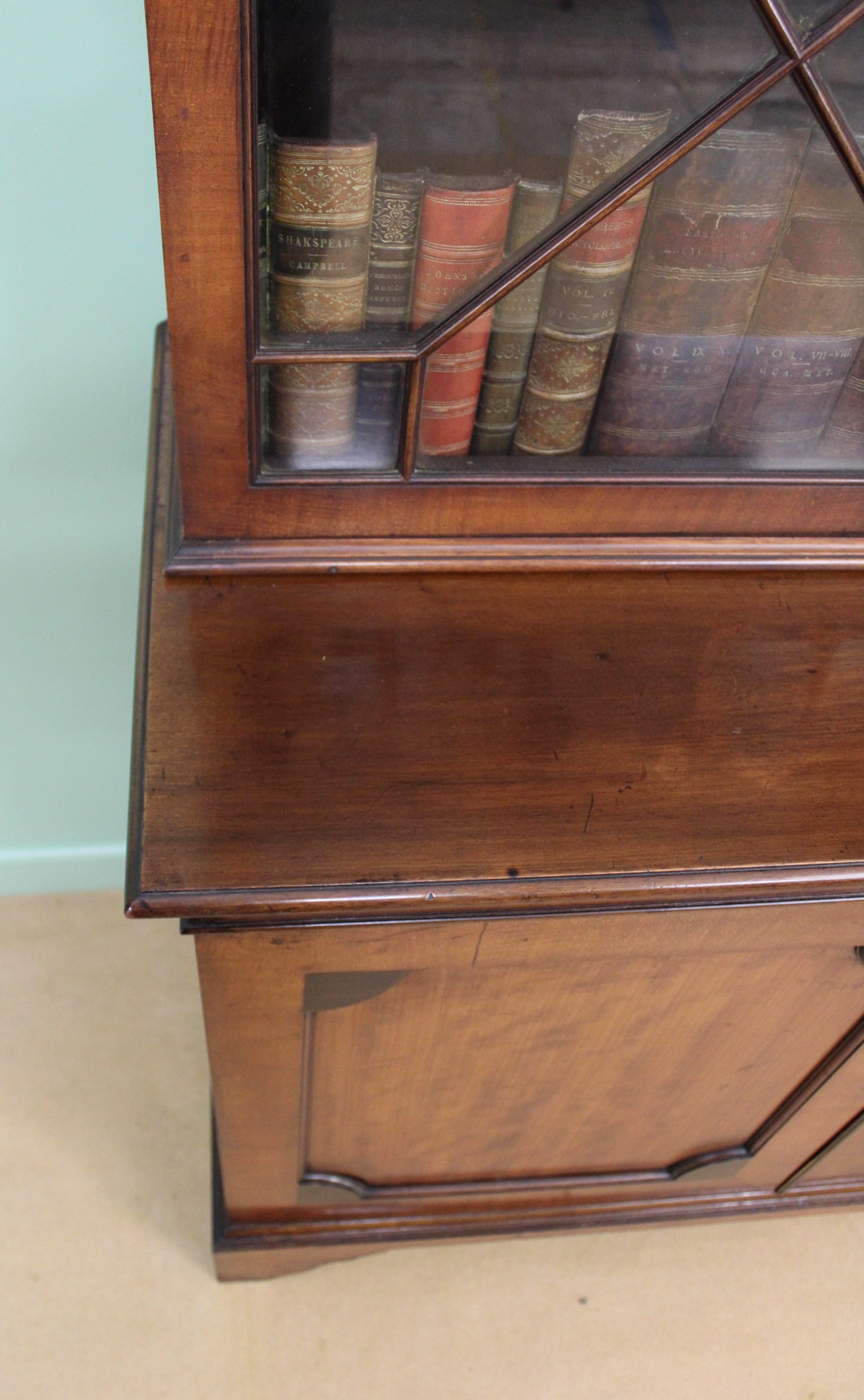 English 19th Century Mahogany Glazed Bookcase For Sale 5