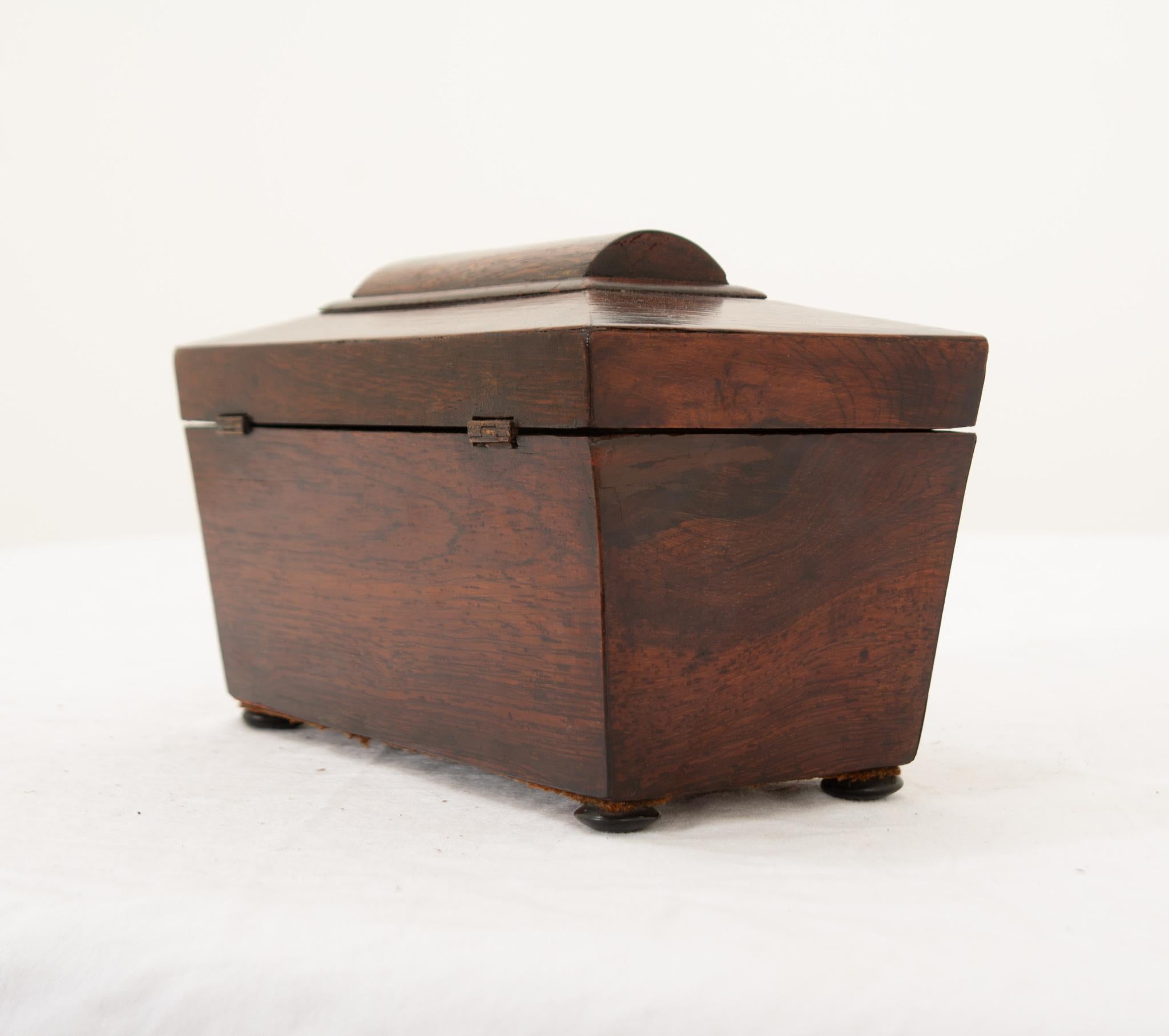 English 19th Century Mahogany Tea Caddy 1