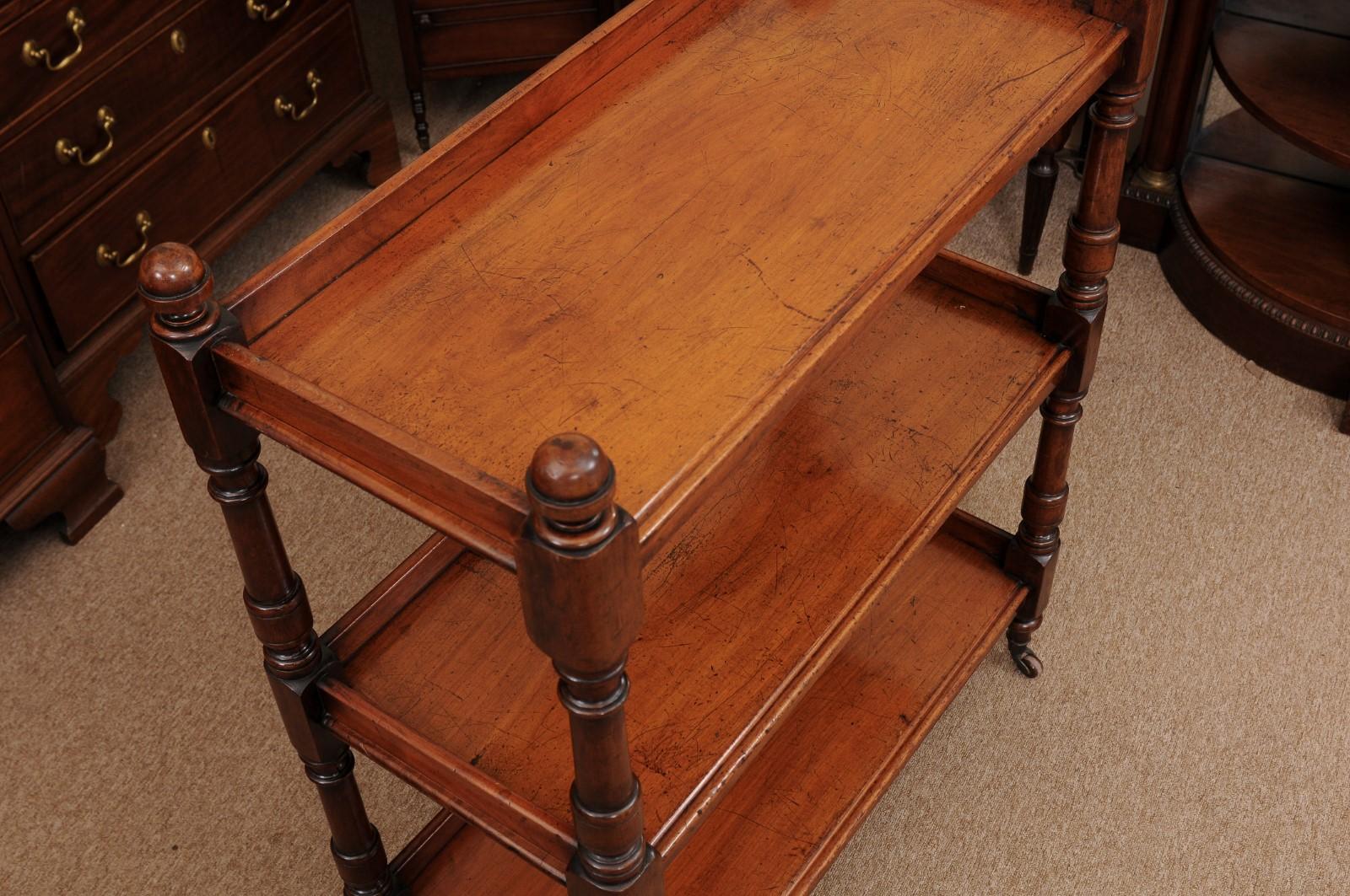 English 19th Century Mahogany Trolley with 3 Tiers and Castors 4