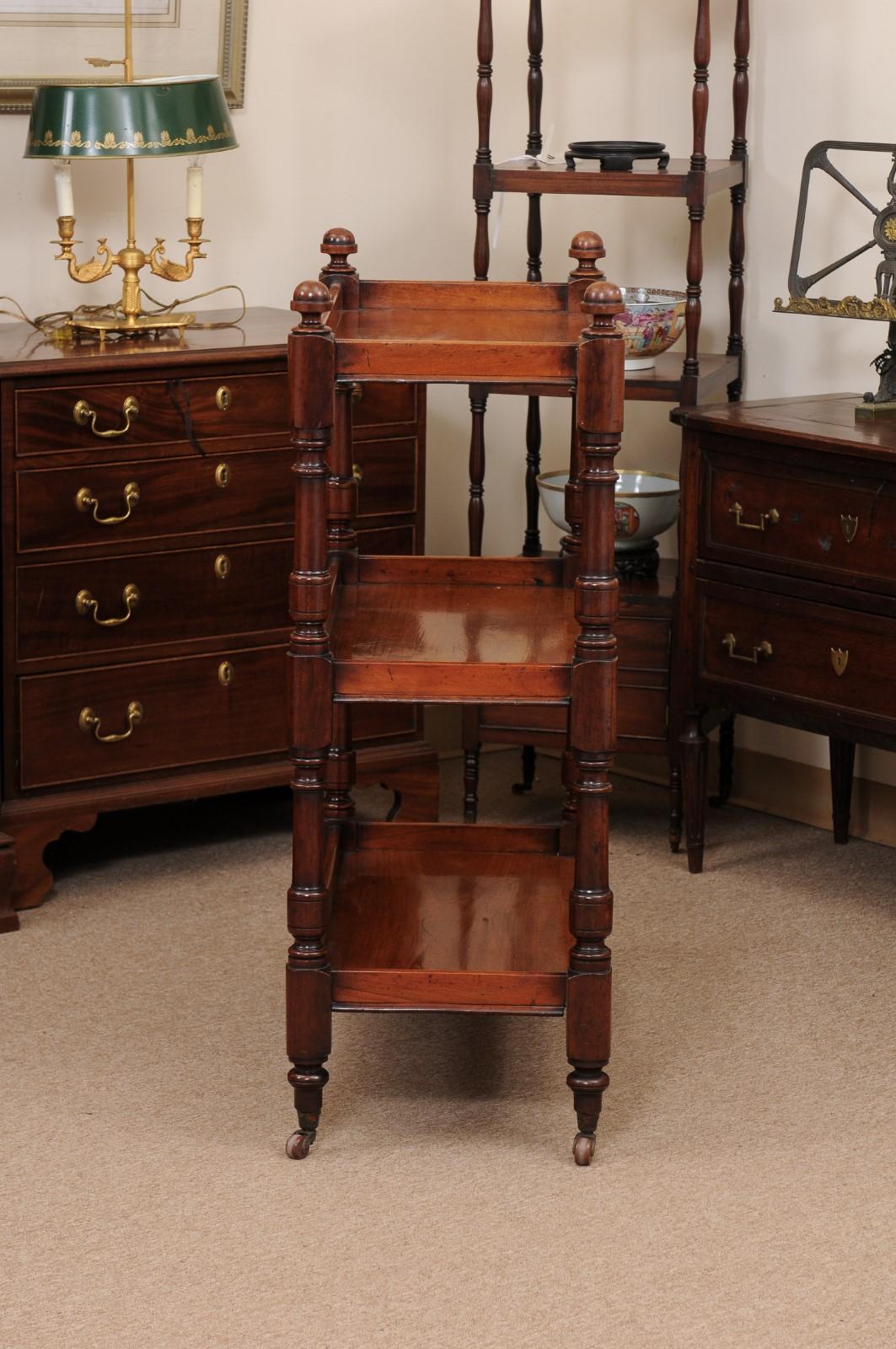 English 19th Century Mahogany Trolley with 3 Tiers and Castors 5