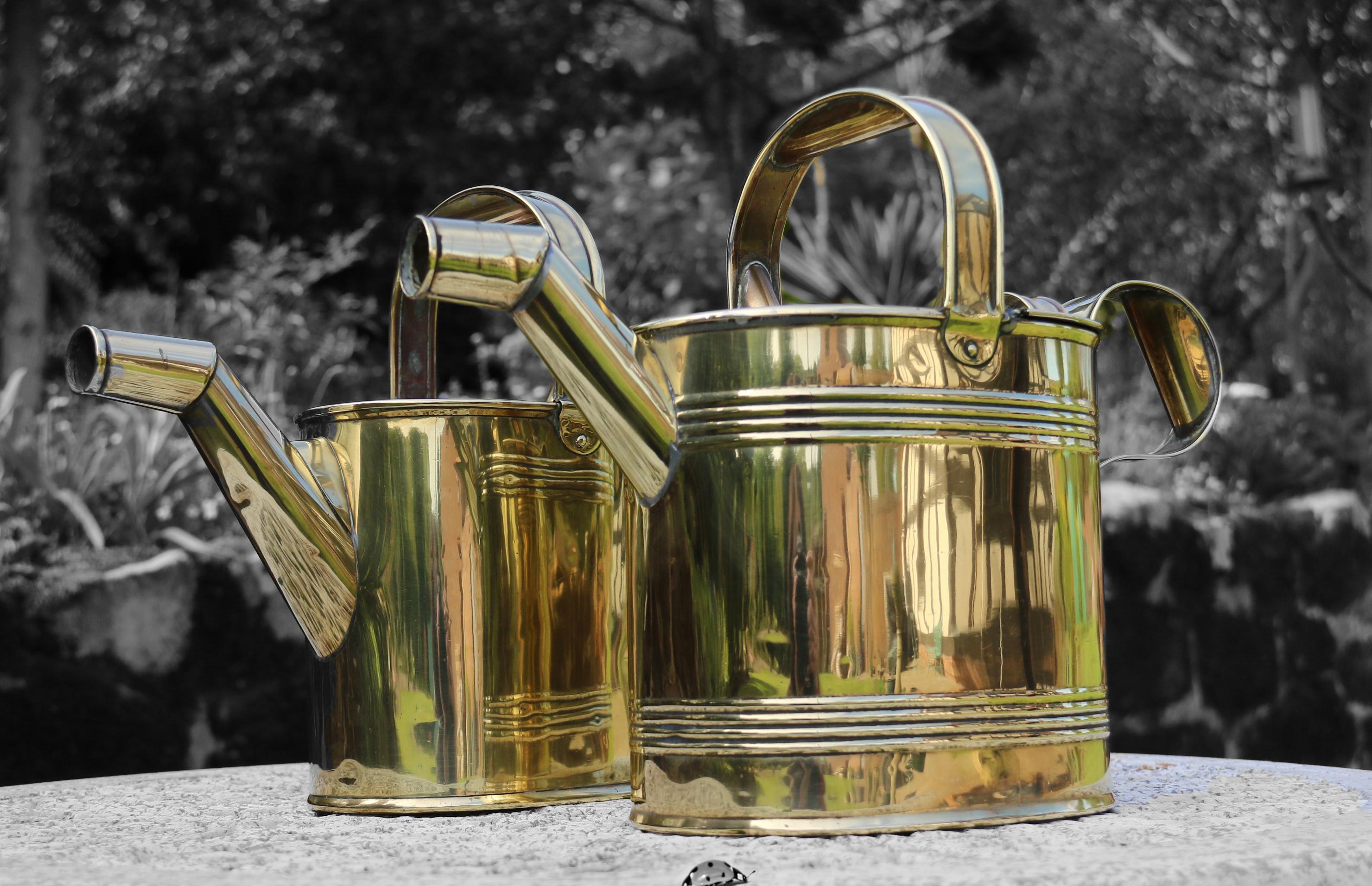 
This very decorative matched pair of country house type brass watering cans, one is a five pint and the other is a six pint, are both beautifully made in solid sheet brass. The larger one has a maker stamp on its underside for Williamson and Sons