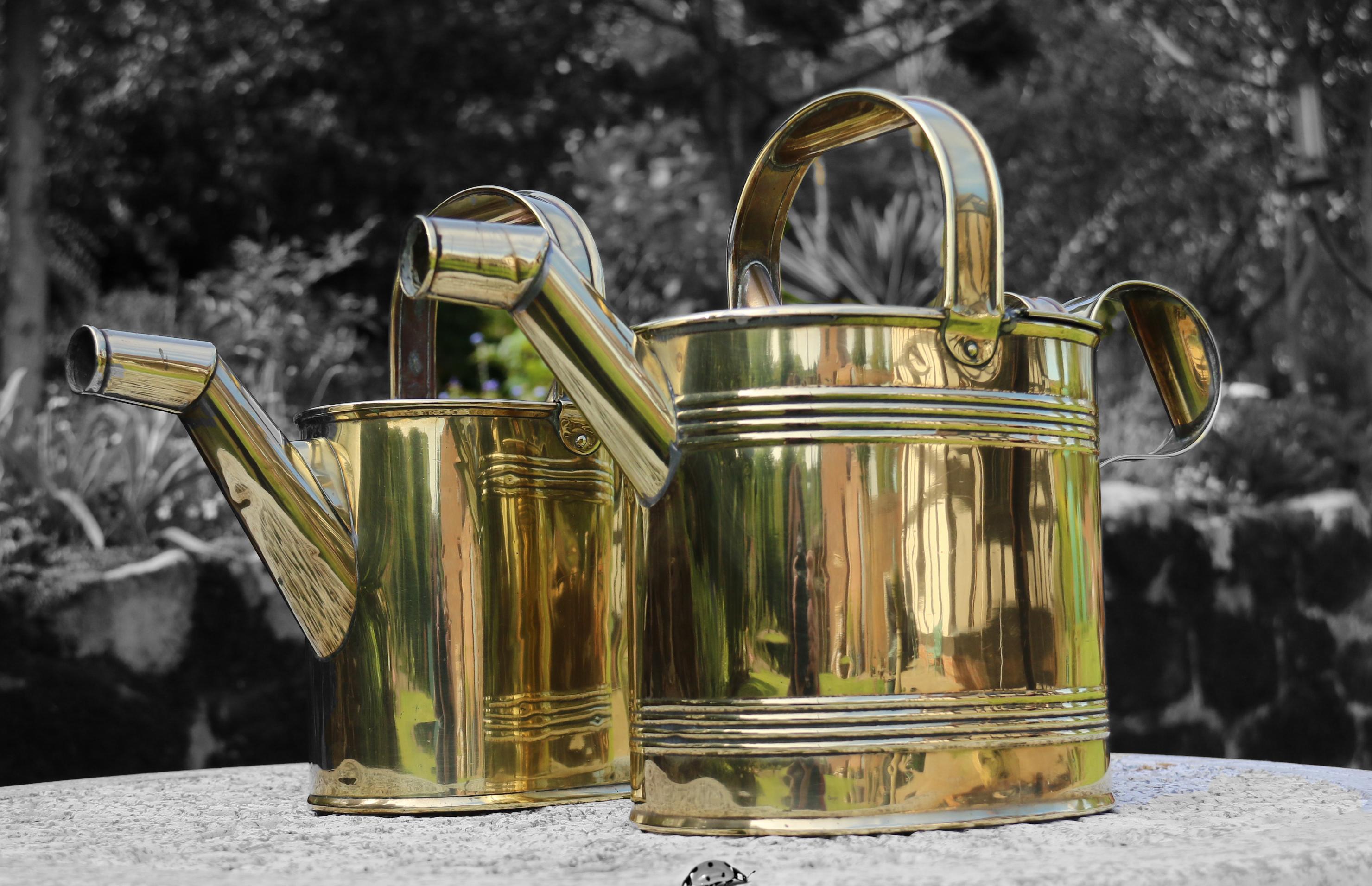 English 19th century matched pair of brass watering cans from a London Hotel For Sale 2
