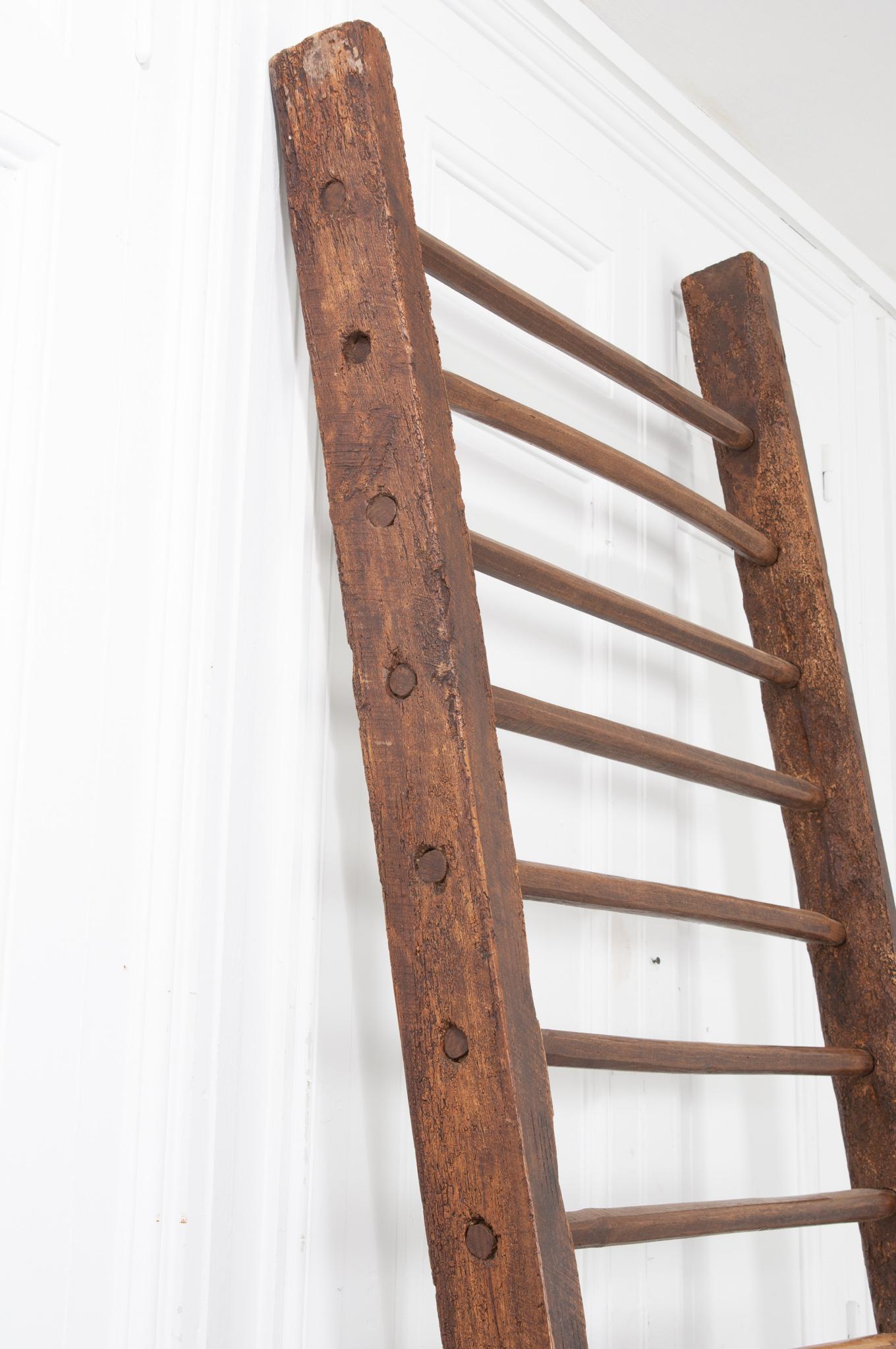 English 19th Century Oak Hay Ladder 1