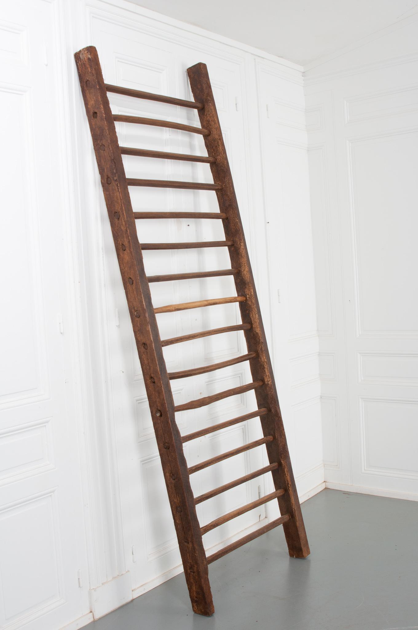 English 19th Century Oak Hay Ladder 2