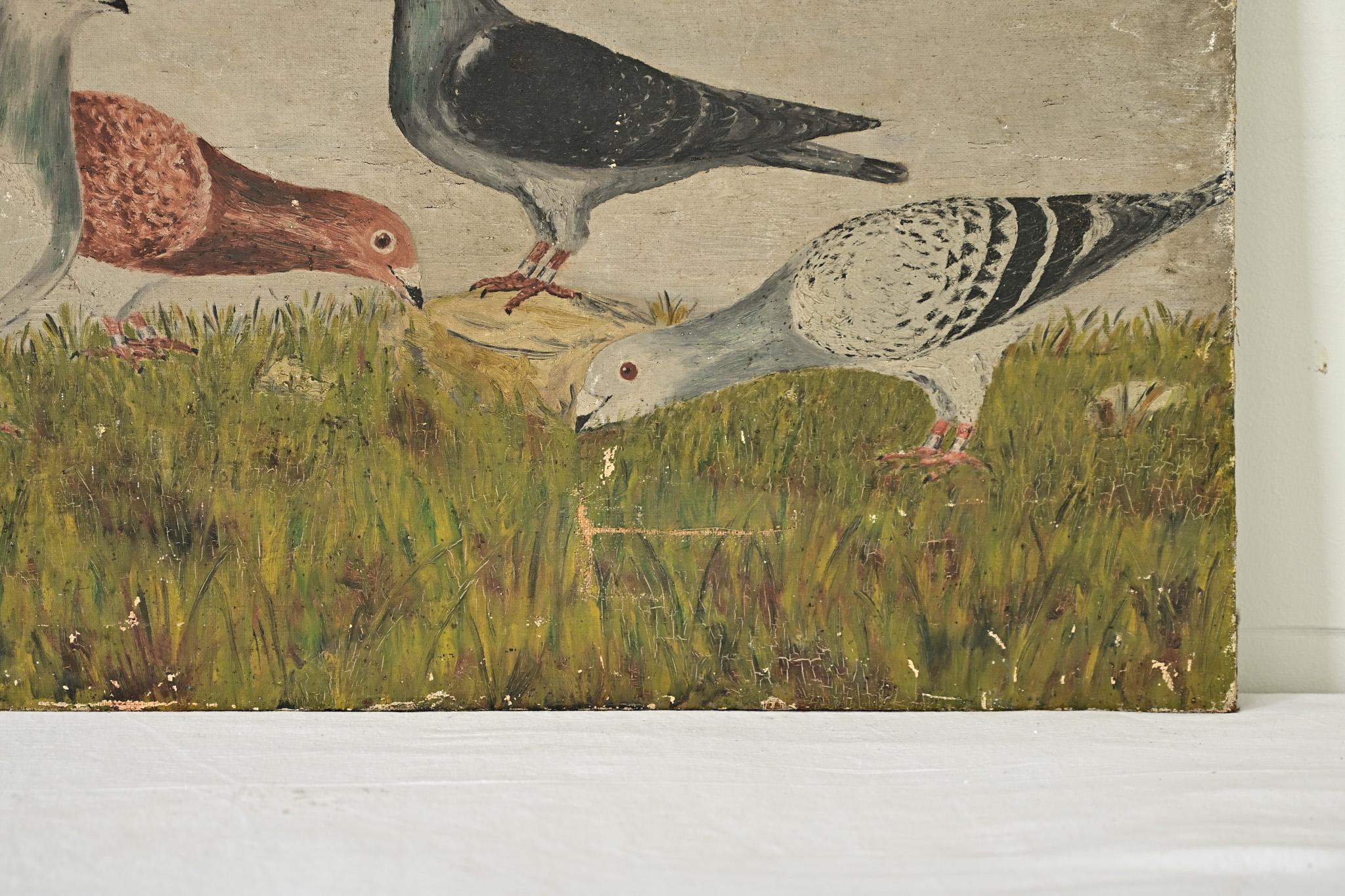 Oiled English 19th Century Painting of Racing Pigeons For Sale