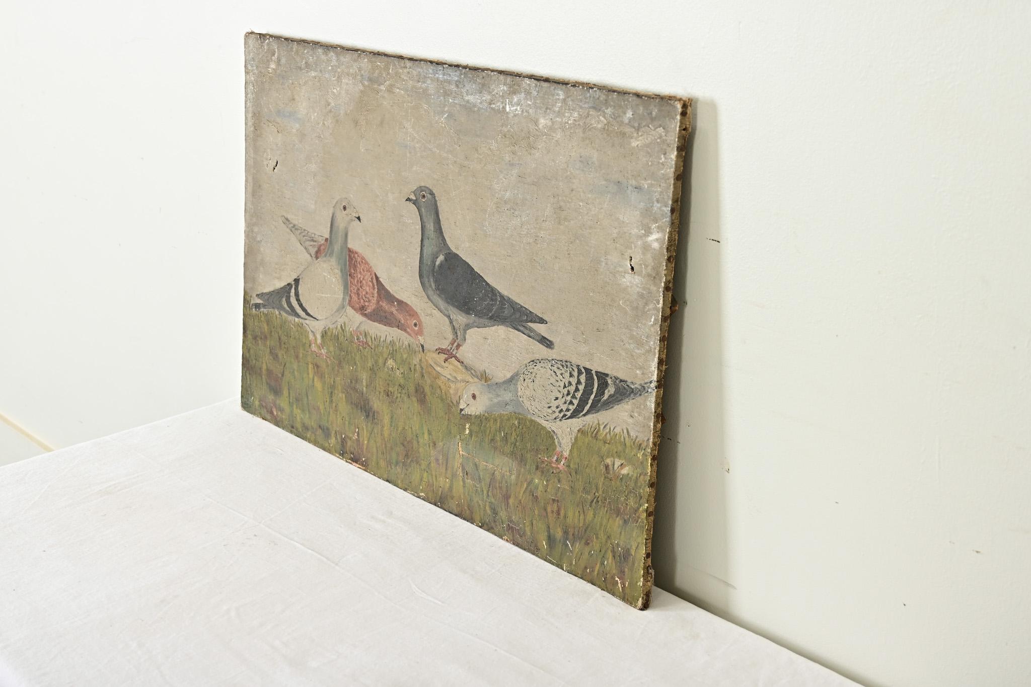 Canvas English 19th Century Painting of Racing Pigeons For Sale