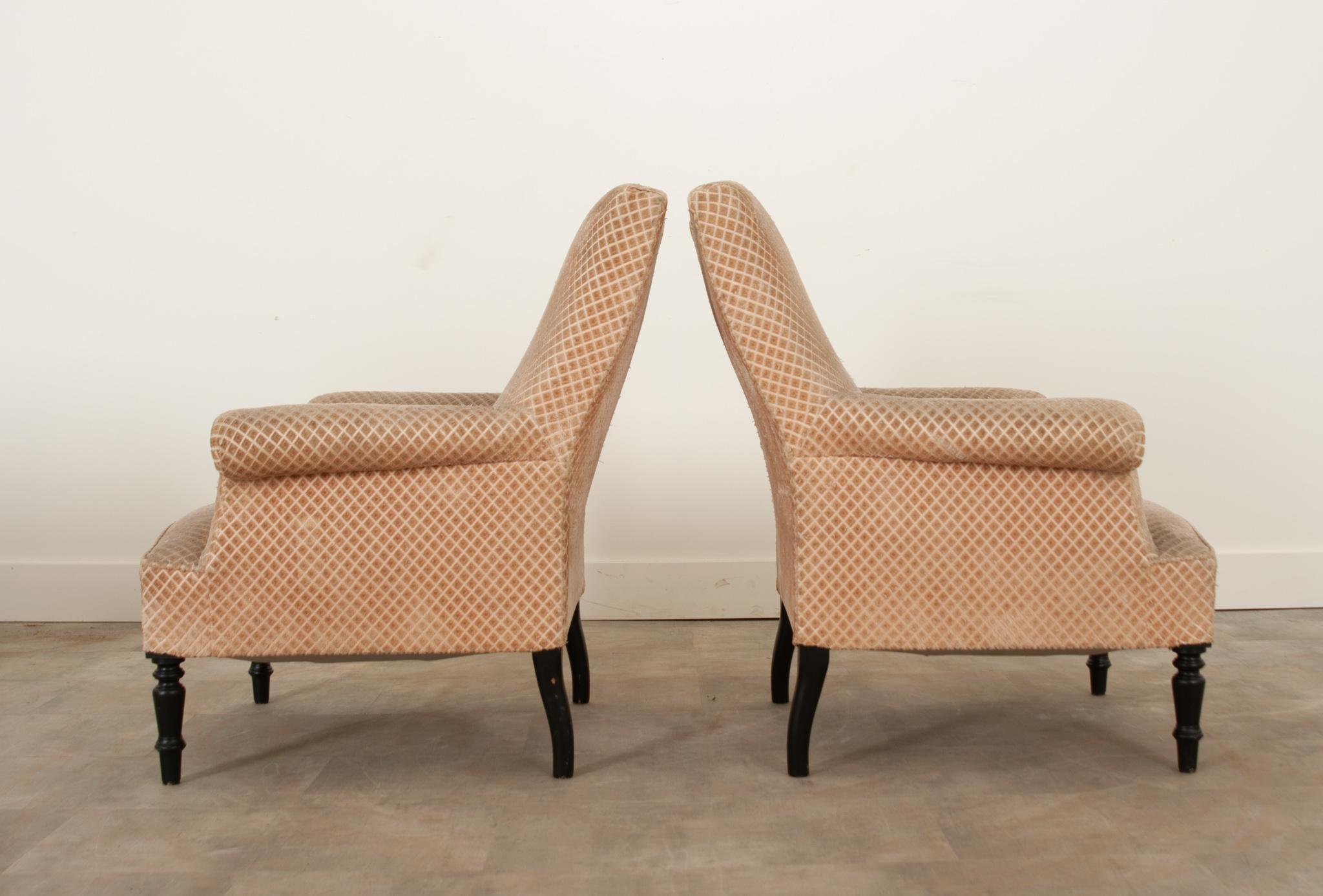 English 19th Century Pair of Armchairs 5