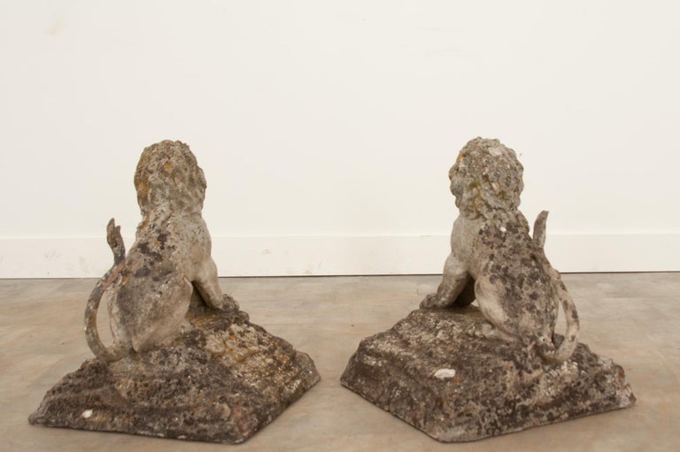 English 19th Century Pair of Stone Lions For Sale at 1stDibs