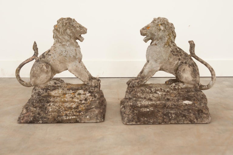English 19th Century Pair of Stone Lions For Sale at 1stDibs