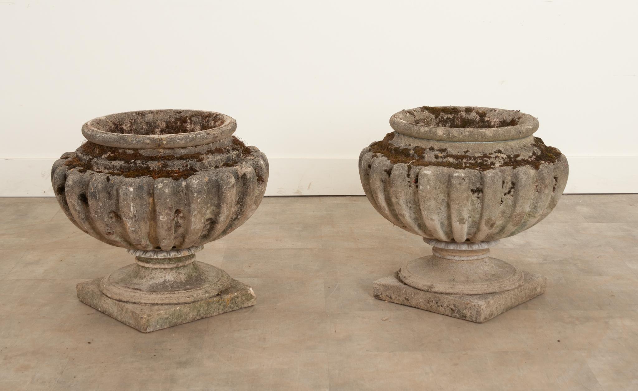 Crafted in England during the 19th century, this pair of stone planters are sure to add the perfect touch of antique charm to your outdoor space. The basin opening measurements are 11-½”“diameter and 10“ deep. The base measures 13-¾” square.