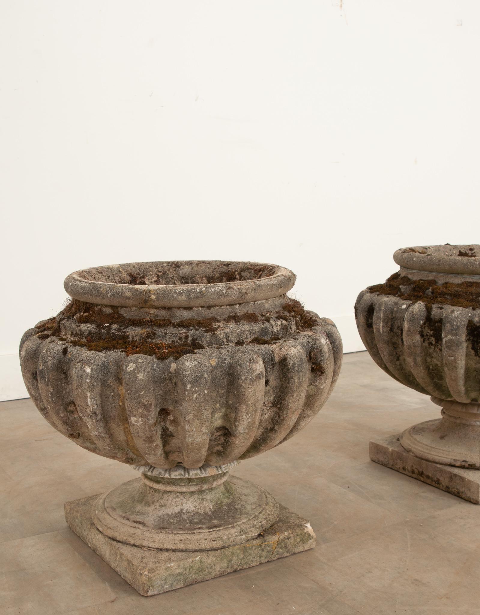 English 19th Century Pair of Stone Planters In Good Condition In Baton Rouge, LA