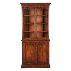 Antique English 19th Century Regency Bookcase