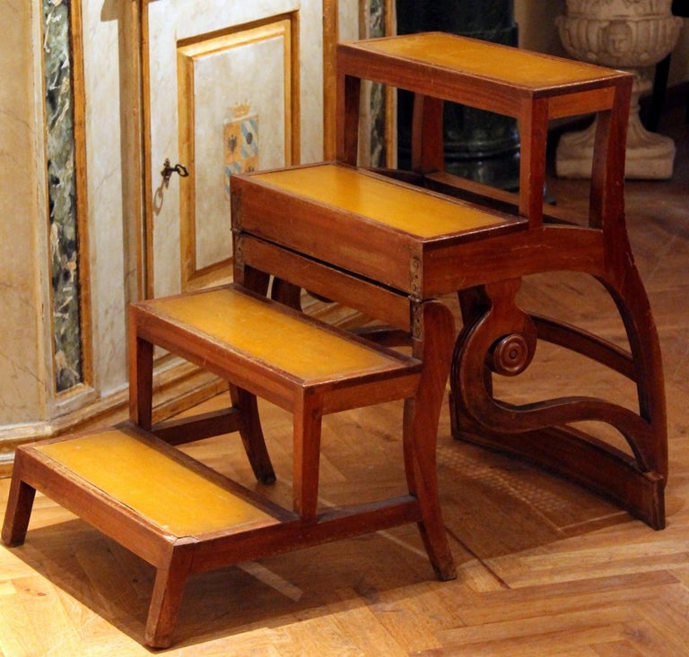 English 19th Century Regency Mahogany Library Steps Ladder Metamorphic ...
