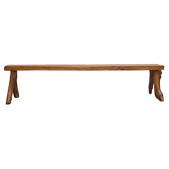 English 19th Century Rustic Elm Bench with Branch-Form Legs