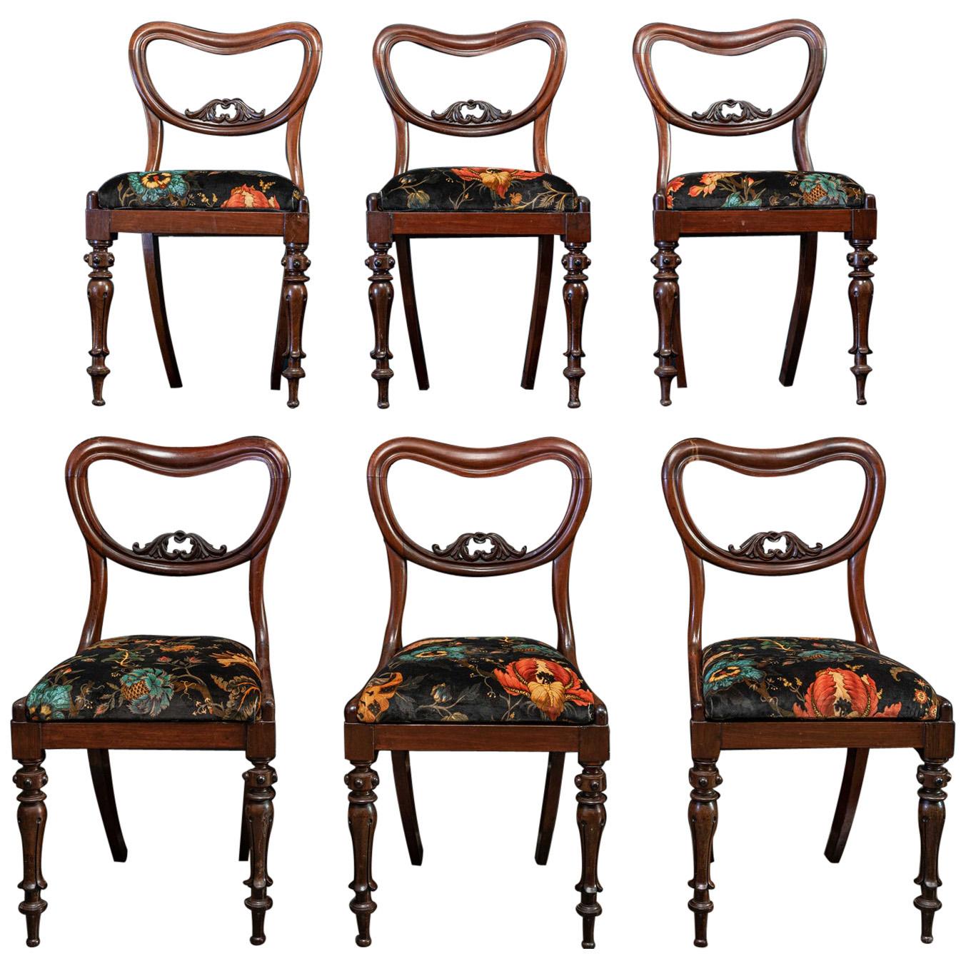 Ensemble de 6 chaises anglaises du 19ème siècle en bois de rose rembourrées